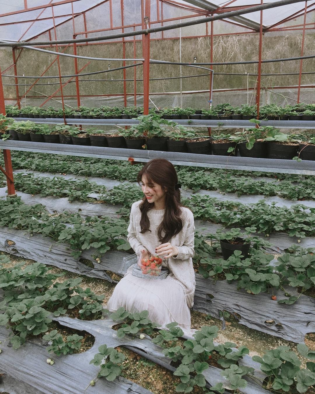 dip Tet Nguyen dan anh 8