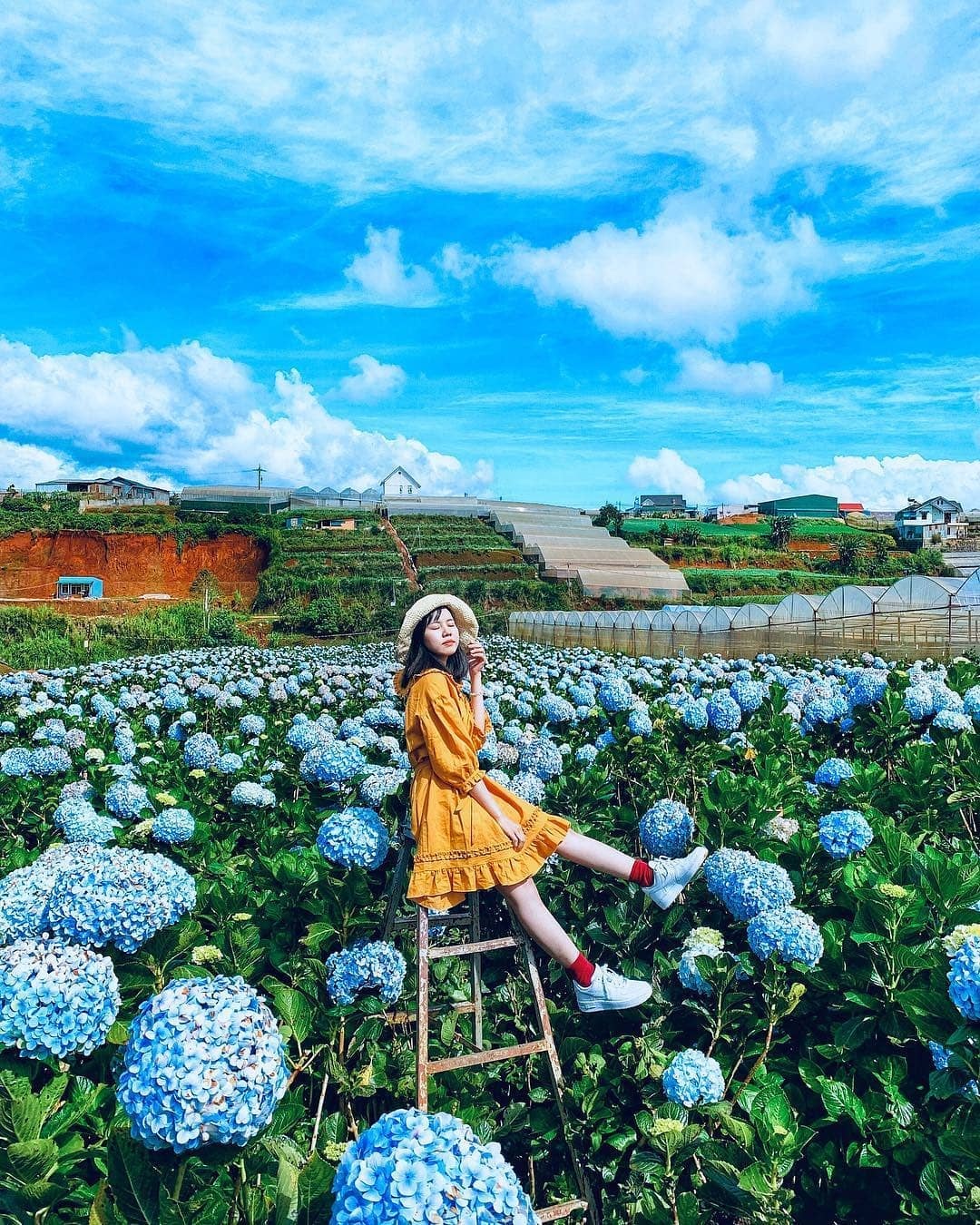 dip Tet Nguyen dan anh 10