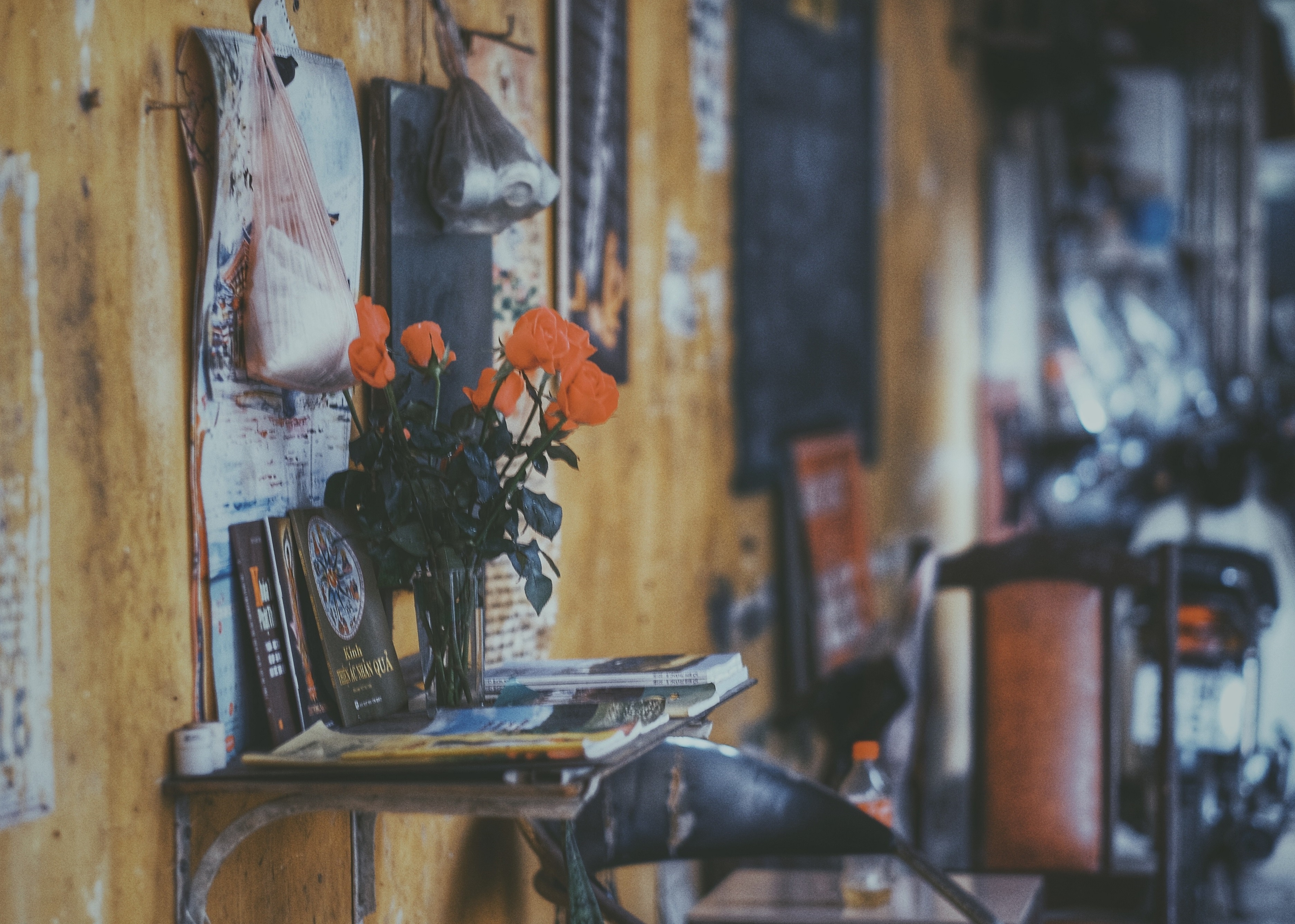 sang mung 1 Tet anh 11