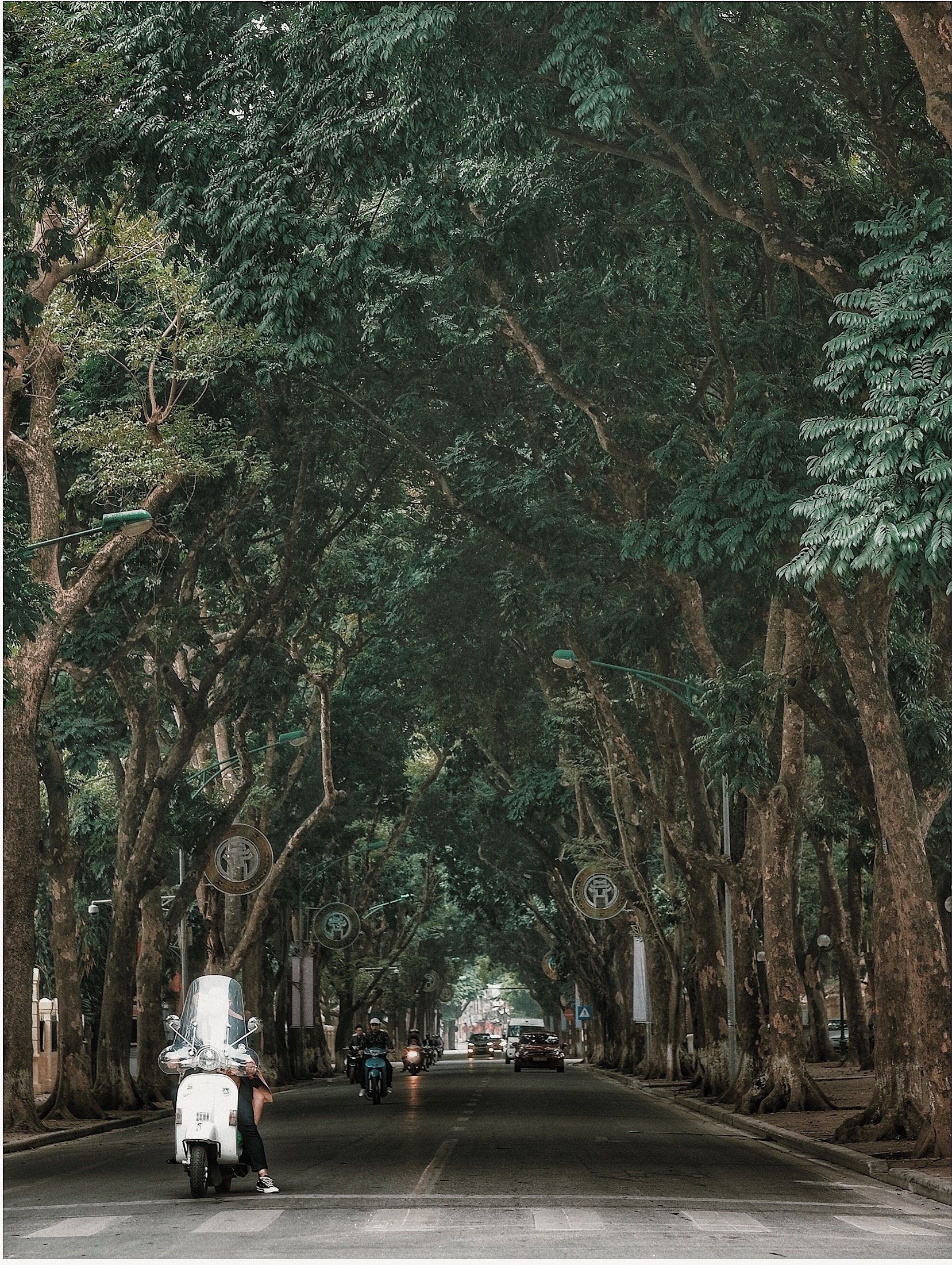 sang mung 1 Tet anh 13