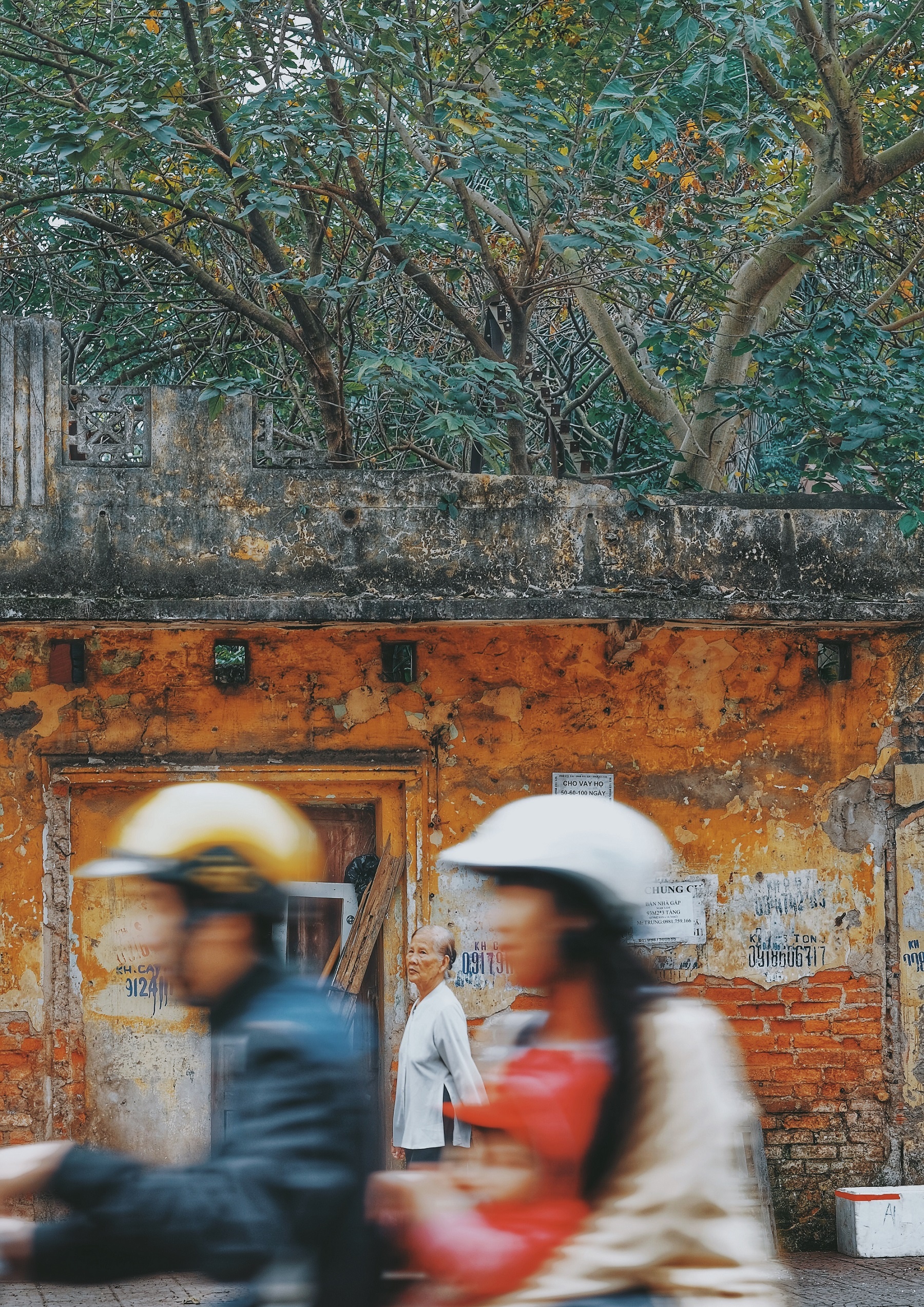 sang mung 1 Tet anh 14