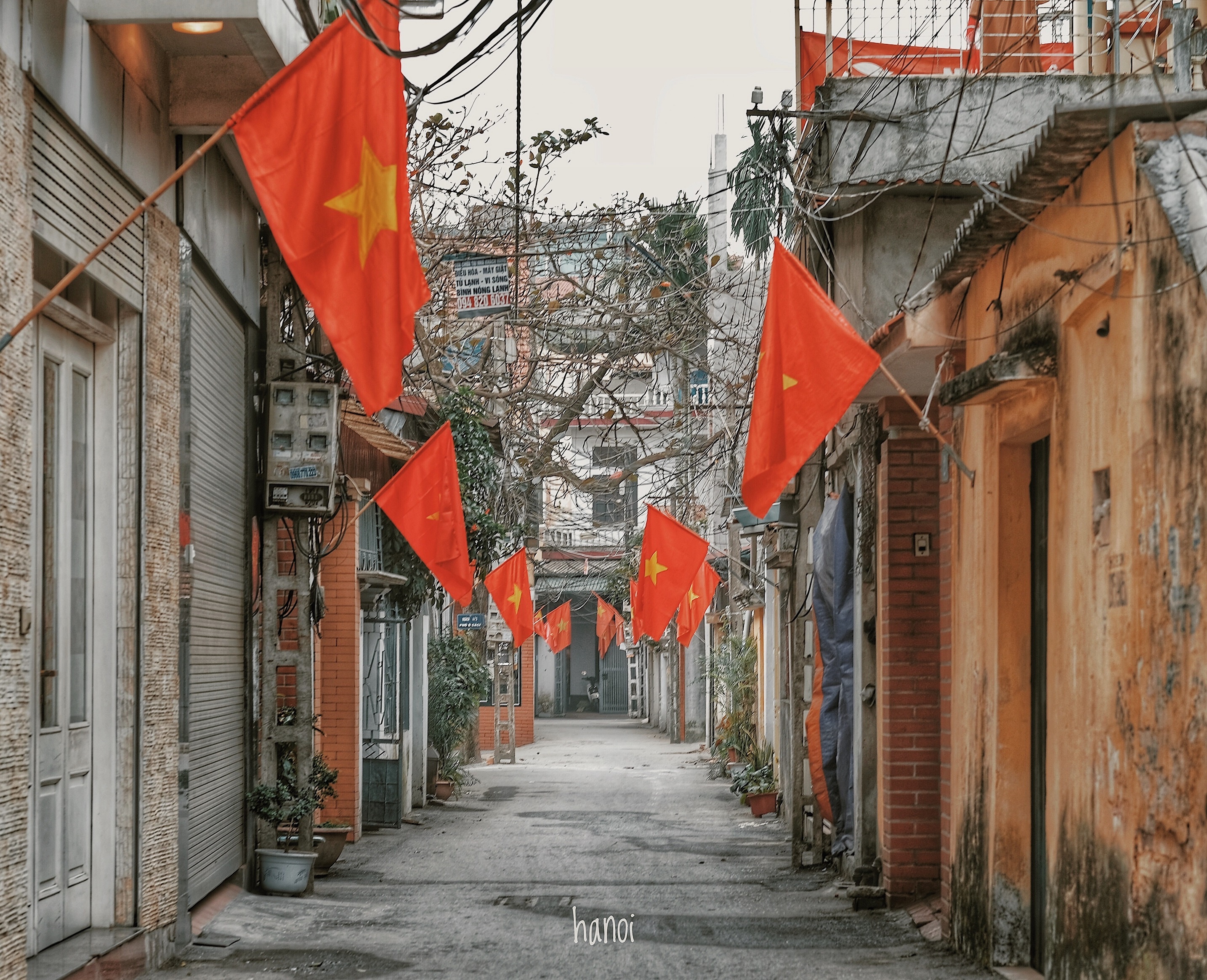 sang mung 1 Tet anh 3