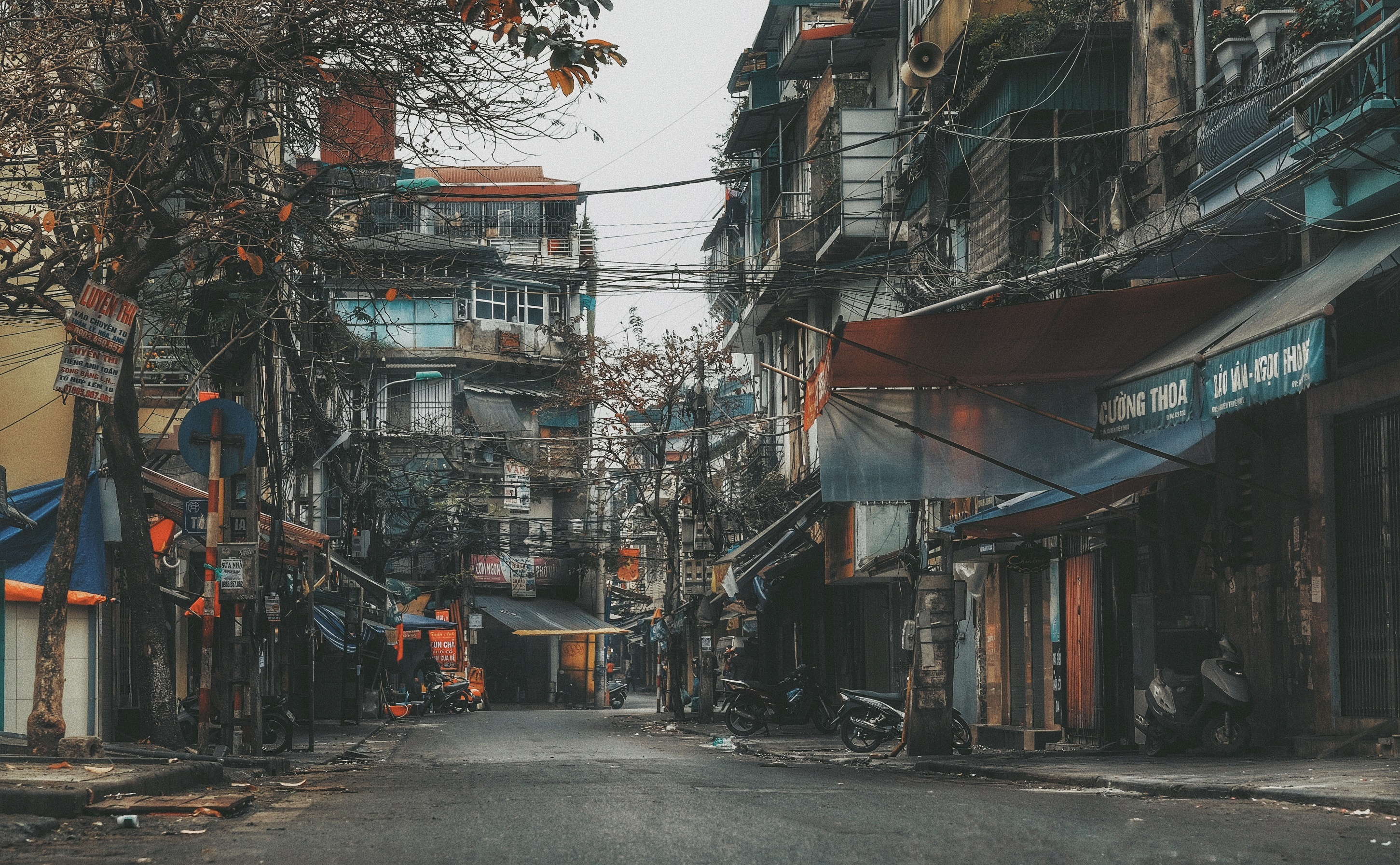 sang mung 1 Tet anh 10