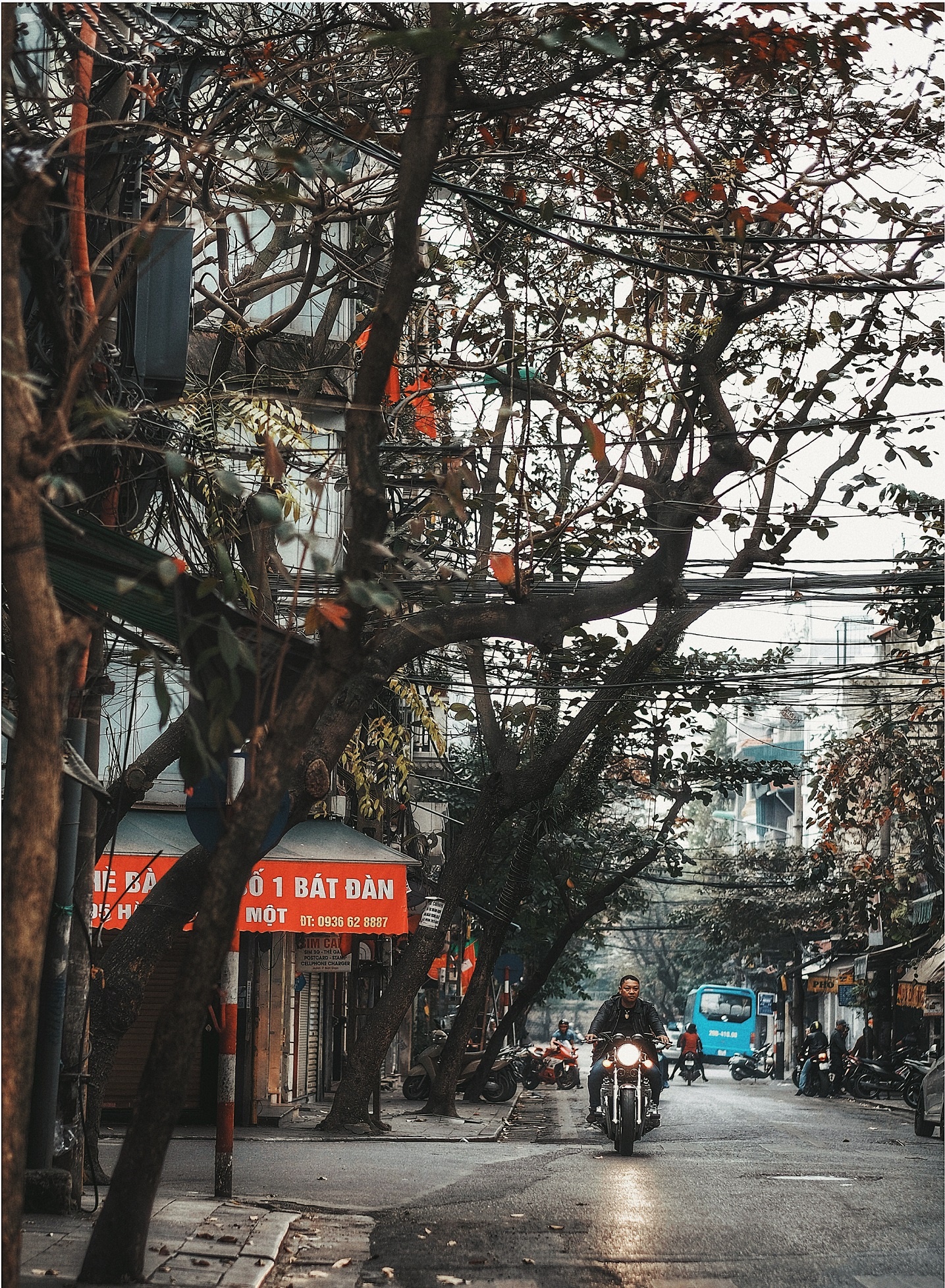 sang mung 1 Tet anh 16