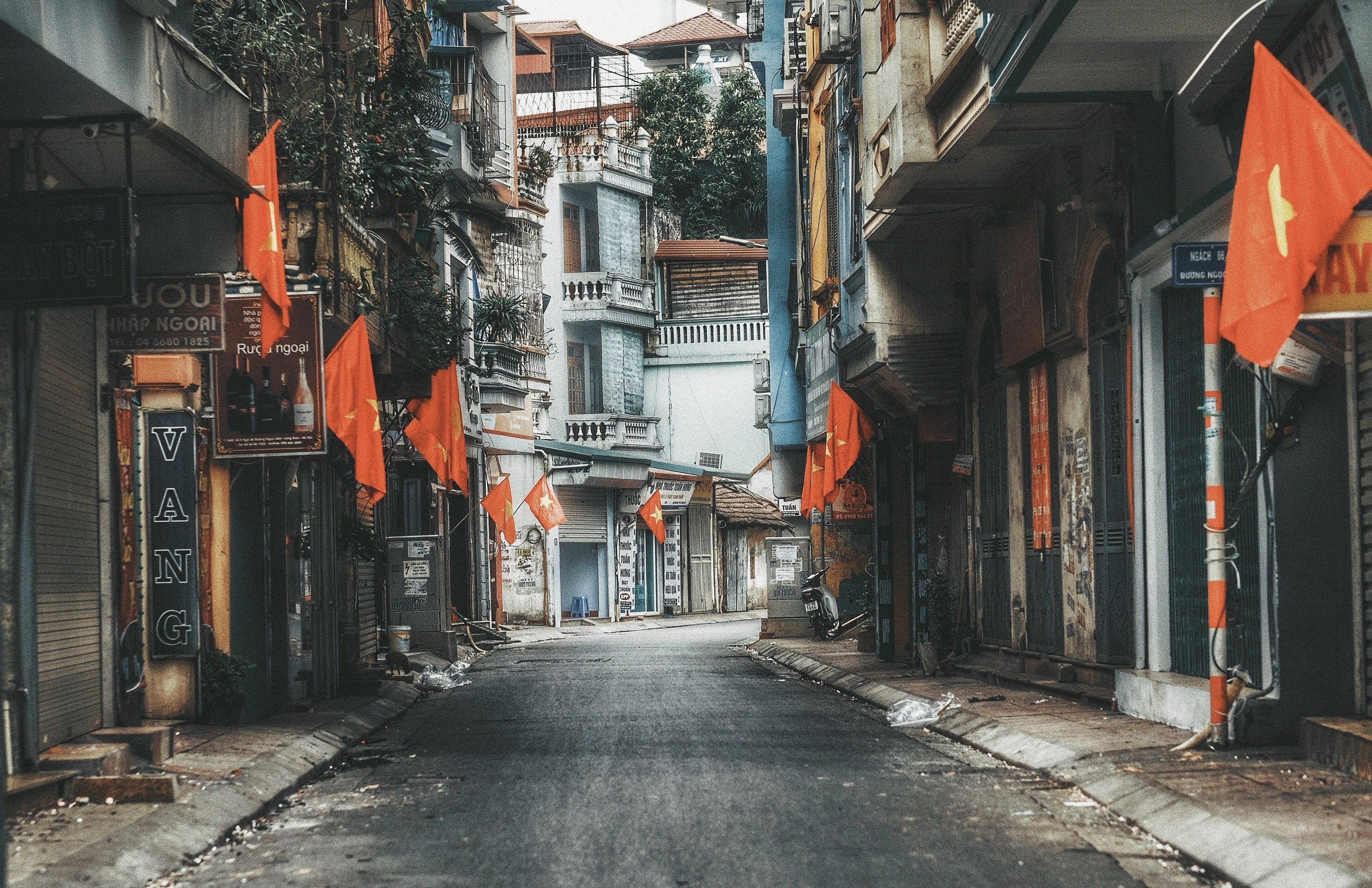 sang mung 1 Tet anh 1