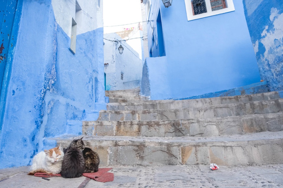 noi tieng nho Instagram anh 13