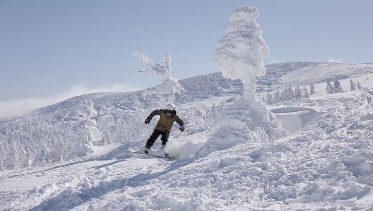 khu rung quai vat tuyet anh 7