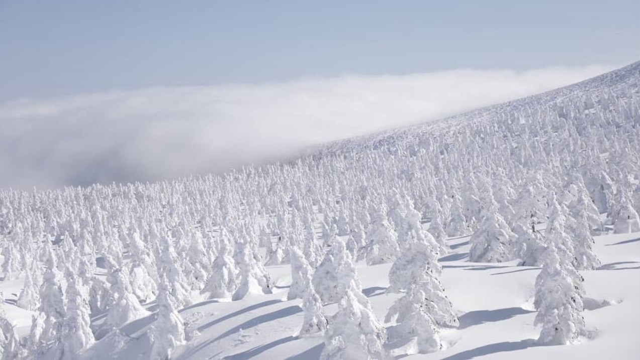 khu rung quai vat tuyet anh 8