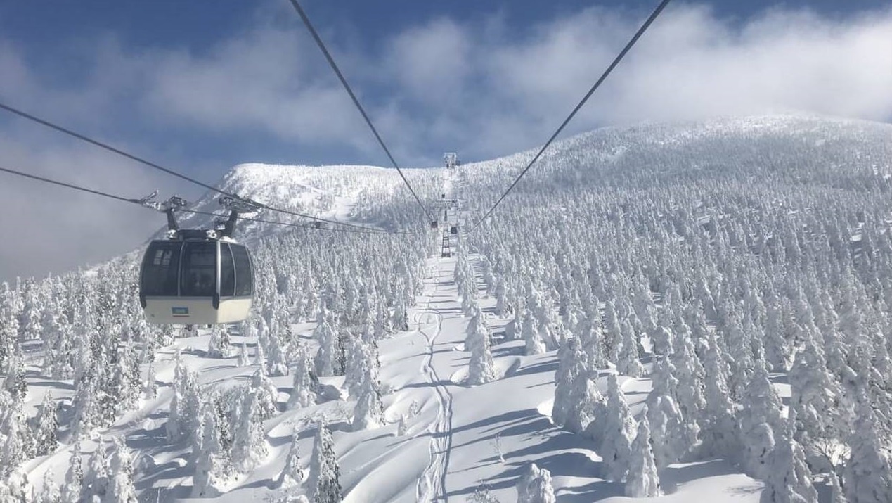 khu rung quai vat tuyet anh 5