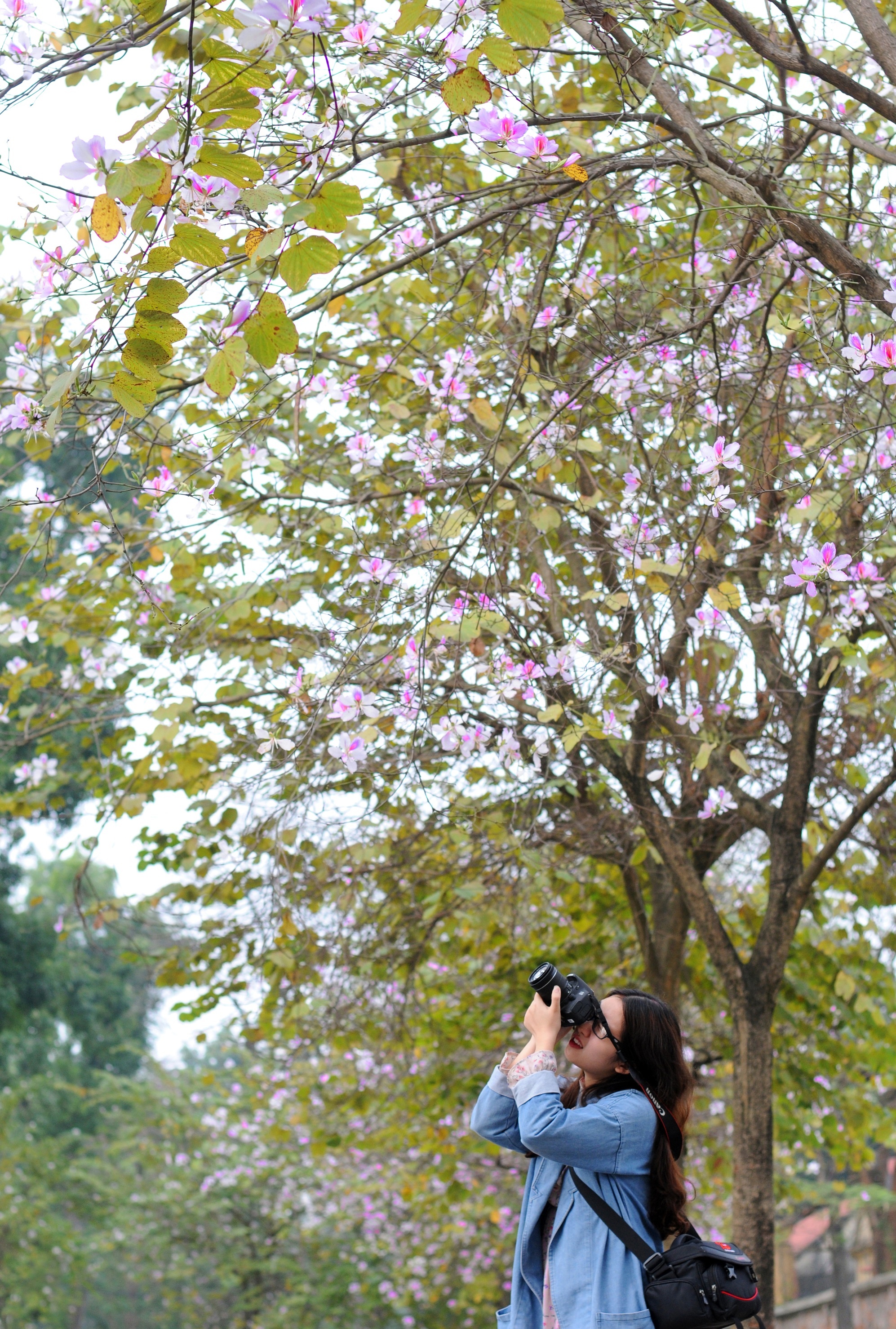 mua hoa ban xuong pho anh 39