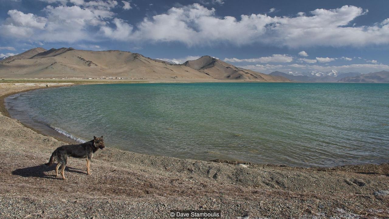 ho khien thuyen khong the noi tren nuoc anh 5