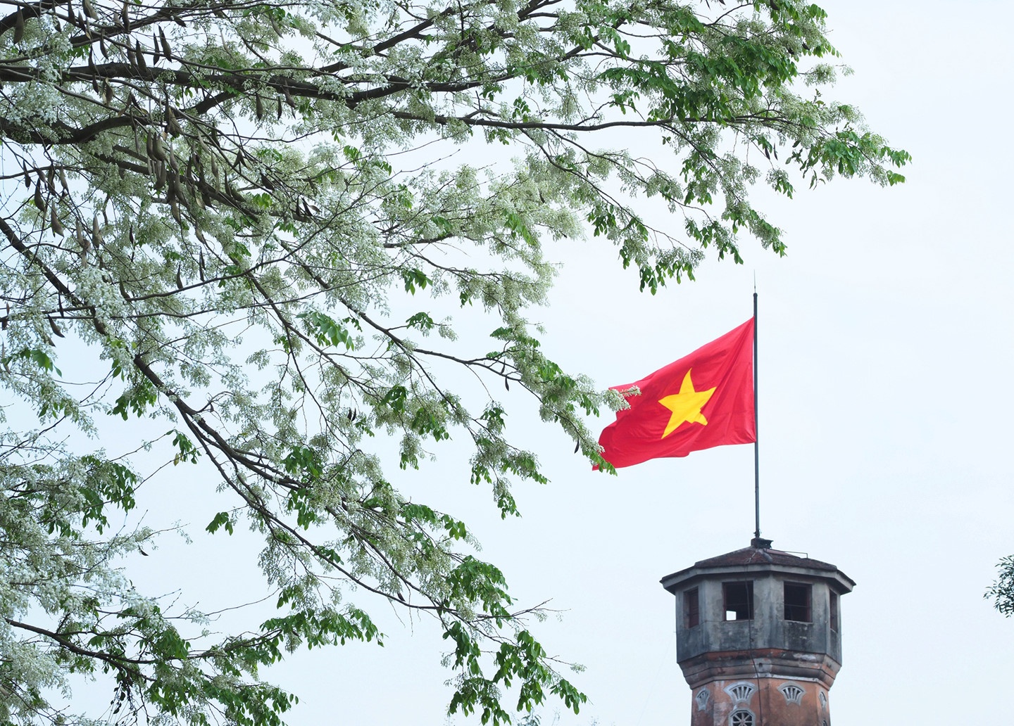 Phong vien quoc te du hoi nghi My - Trieu duoc du lich mien phi Ha Noi hinh anh