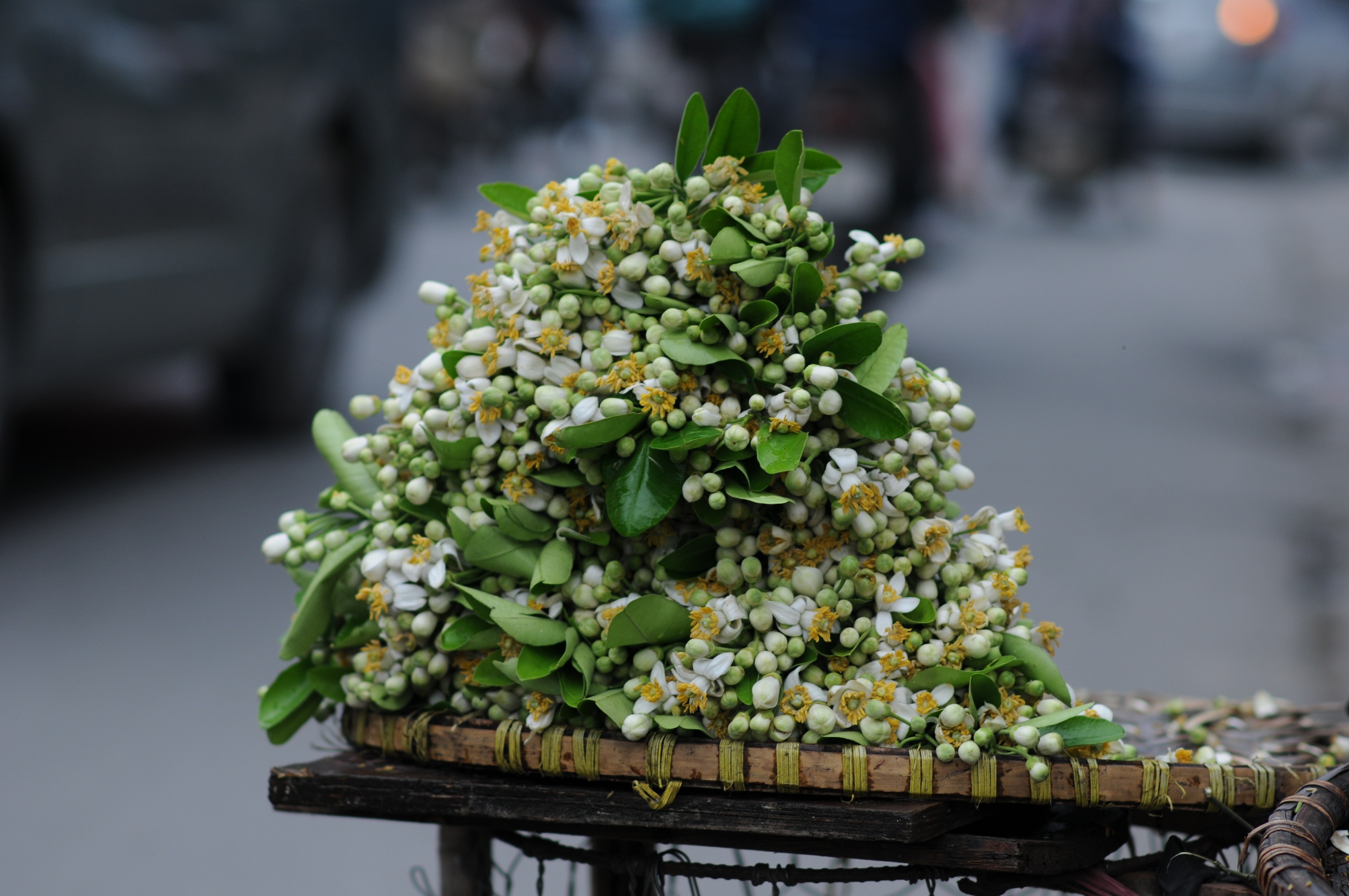 Ha Noi buoc vao mua dep nhat anh 47