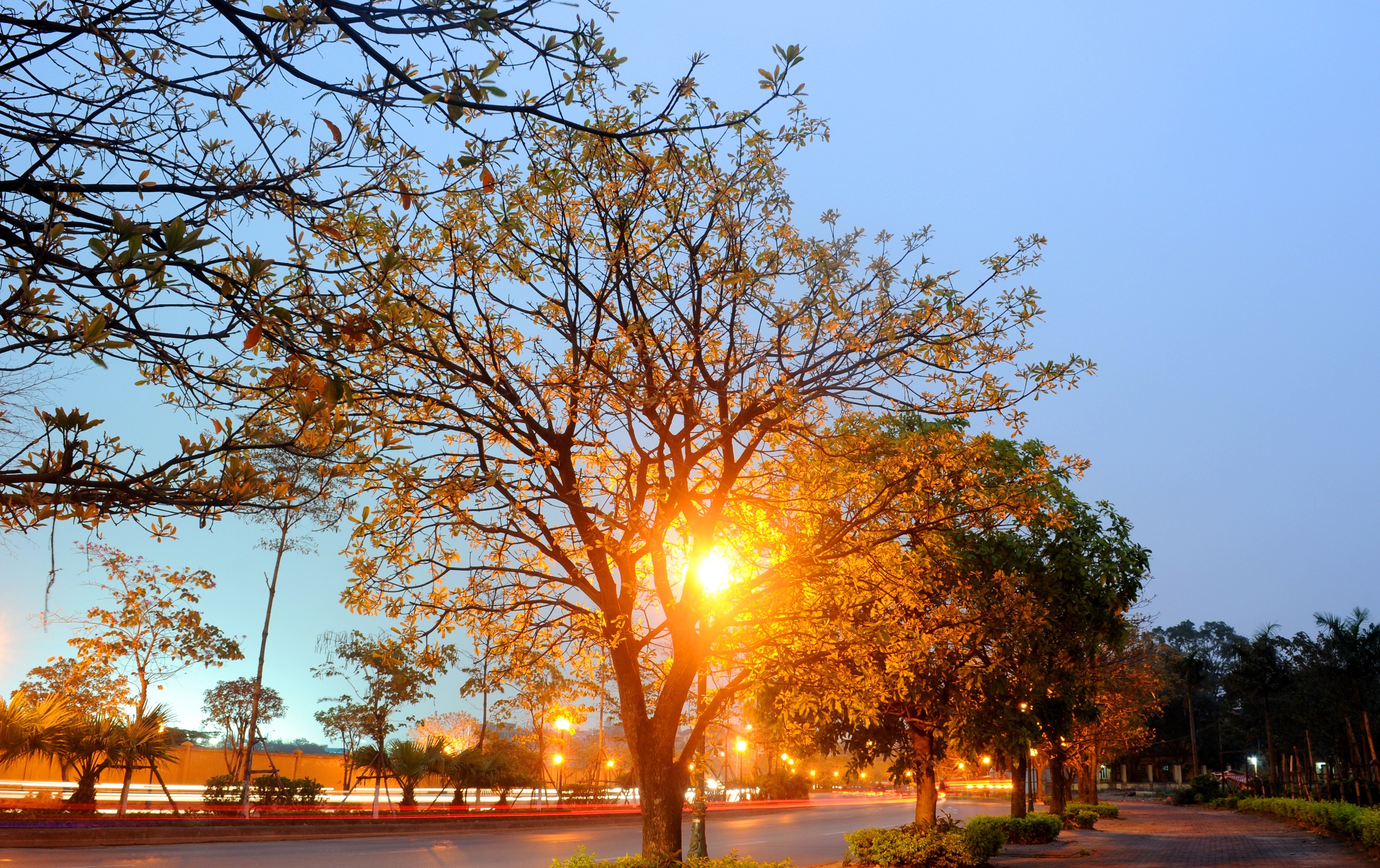 Ha Noi buoc vao mua dep nhat anh 56