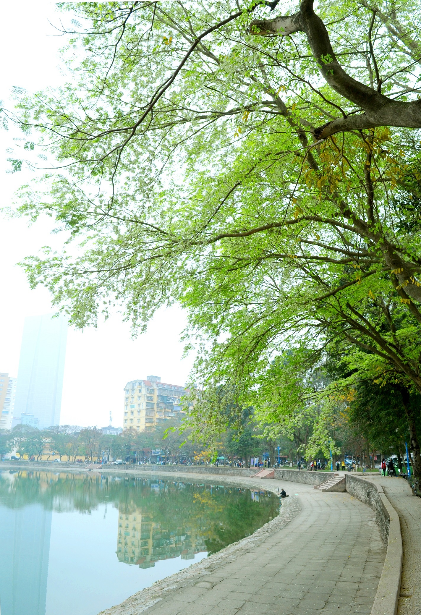 Ha Noi buoc vao mua dep nhat anh 18