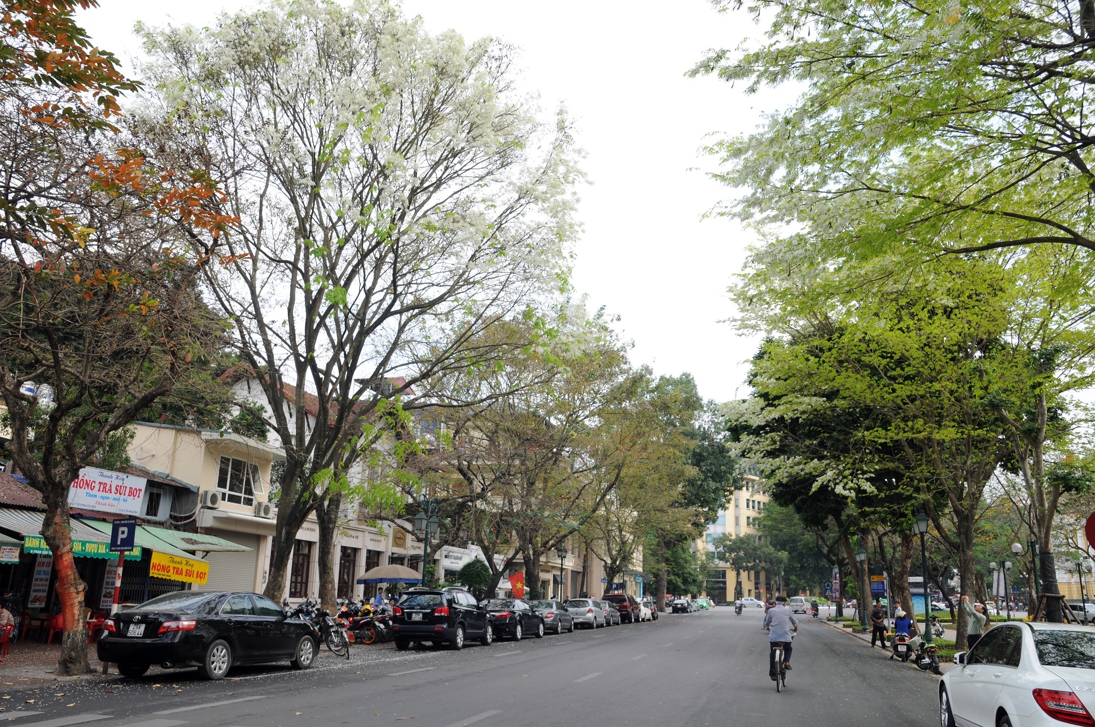 Ha Noi buoc vao mua dep nhat anh 16