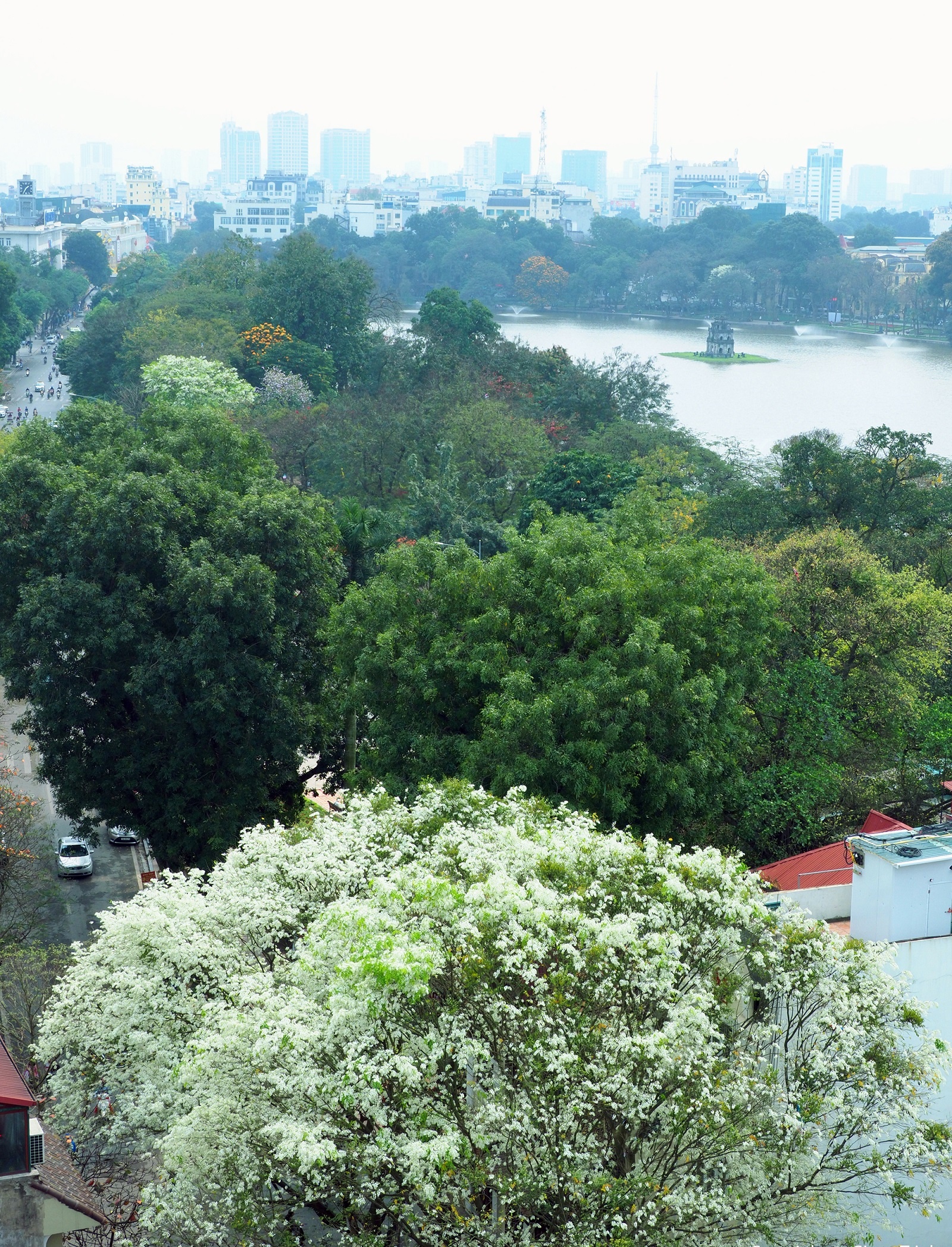 Ha Noi buoc vao mua dep nhat anh 24