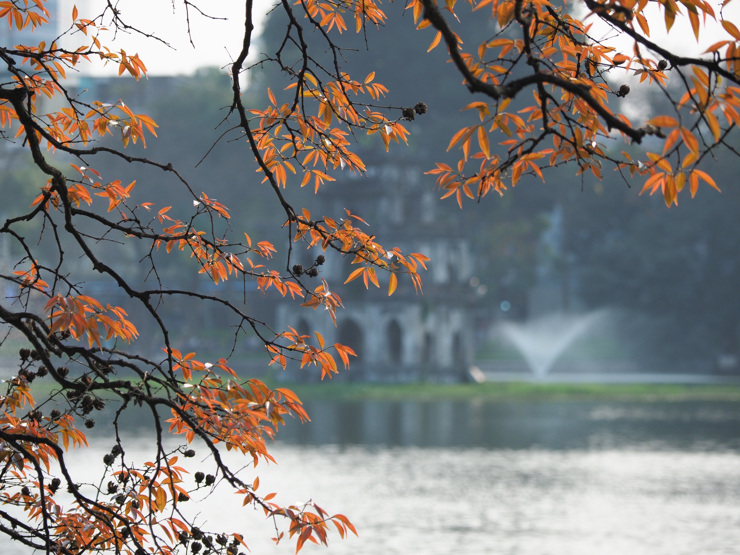 Ha Noi buoc vao mua dep nhat anh 1