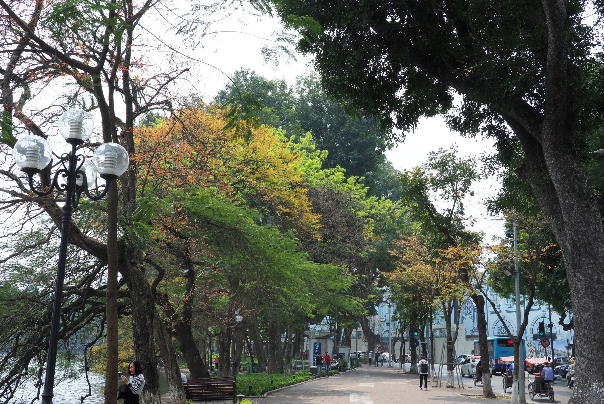 Ha Noi buoc vao mua dep nhat anh 7