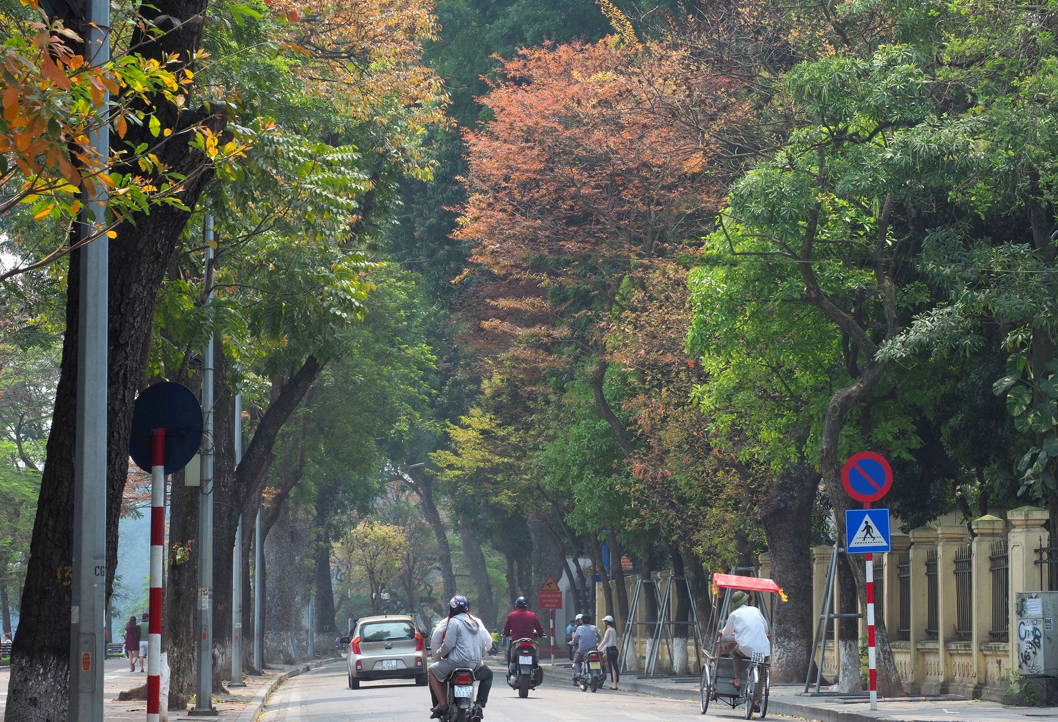 Ha Noi buoc vao mua dep nhat anh 8