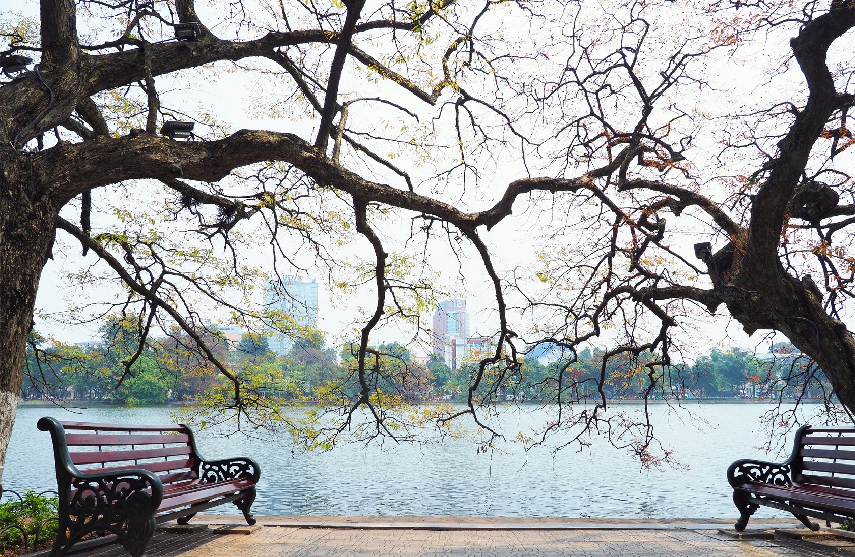 Ha Noi buoc vao mua dep nhat anh 4