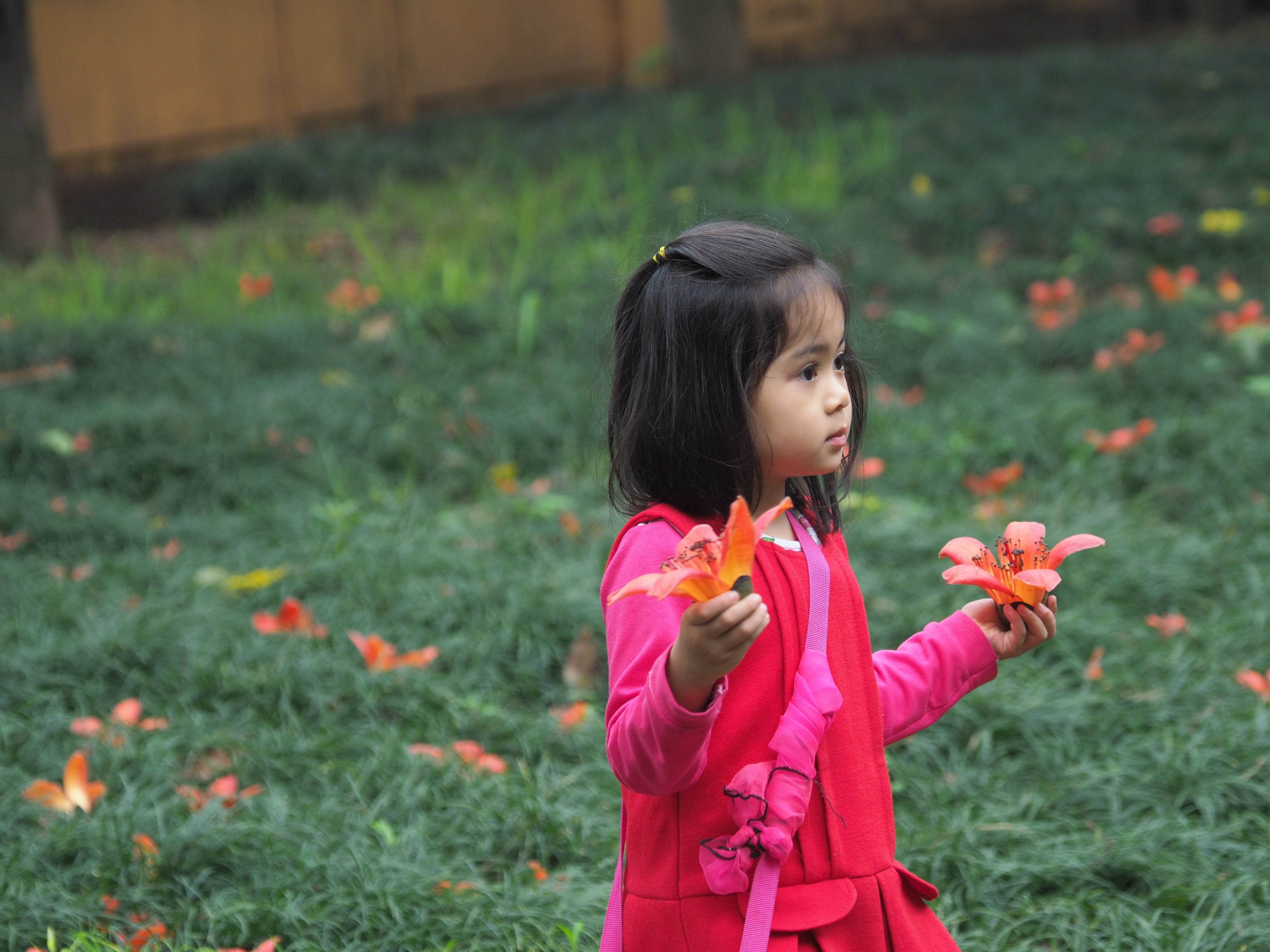 Ha Noi buoc vao mua dep nhat anh 44