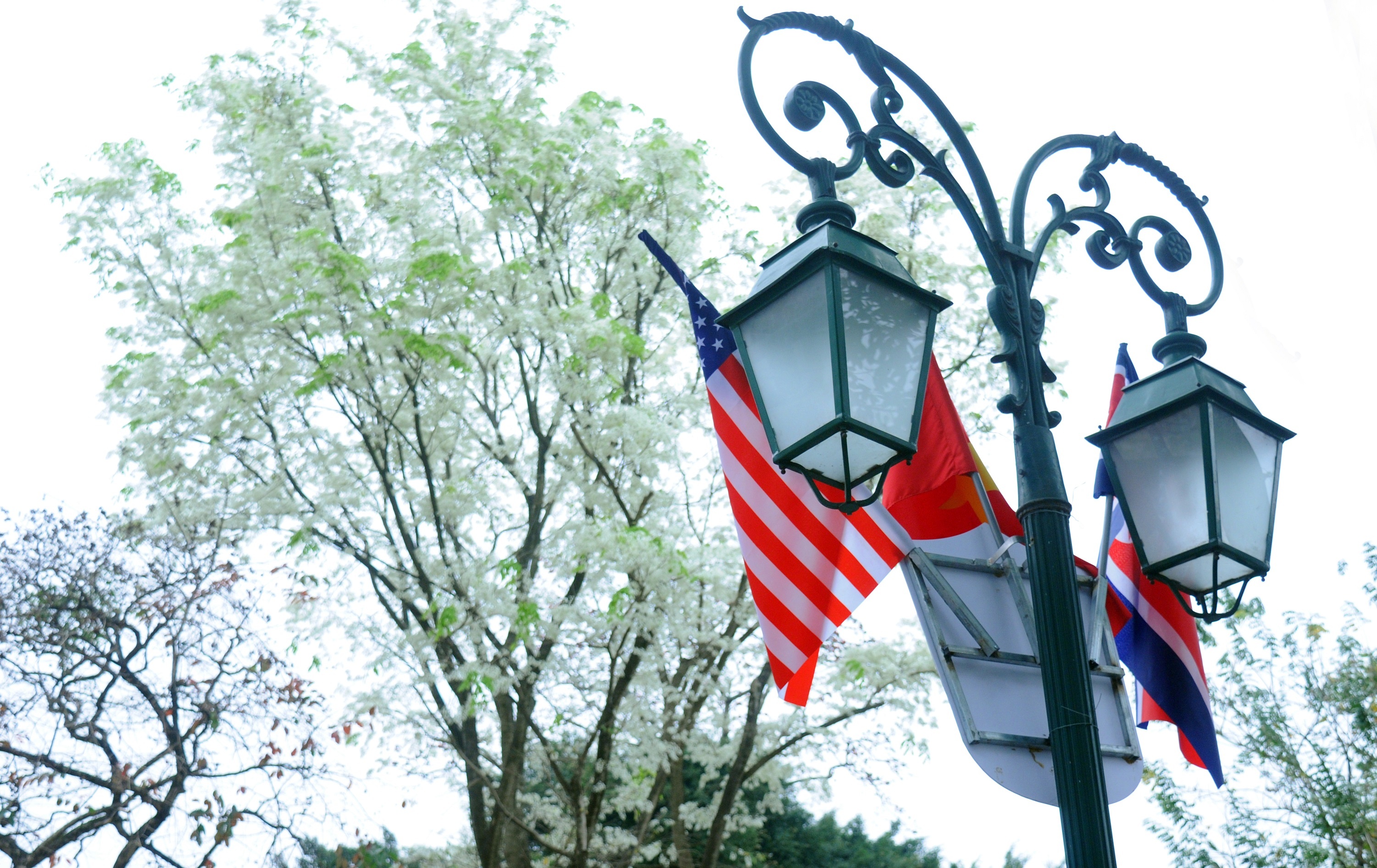 sua no trang troi Ha Noi anh 12