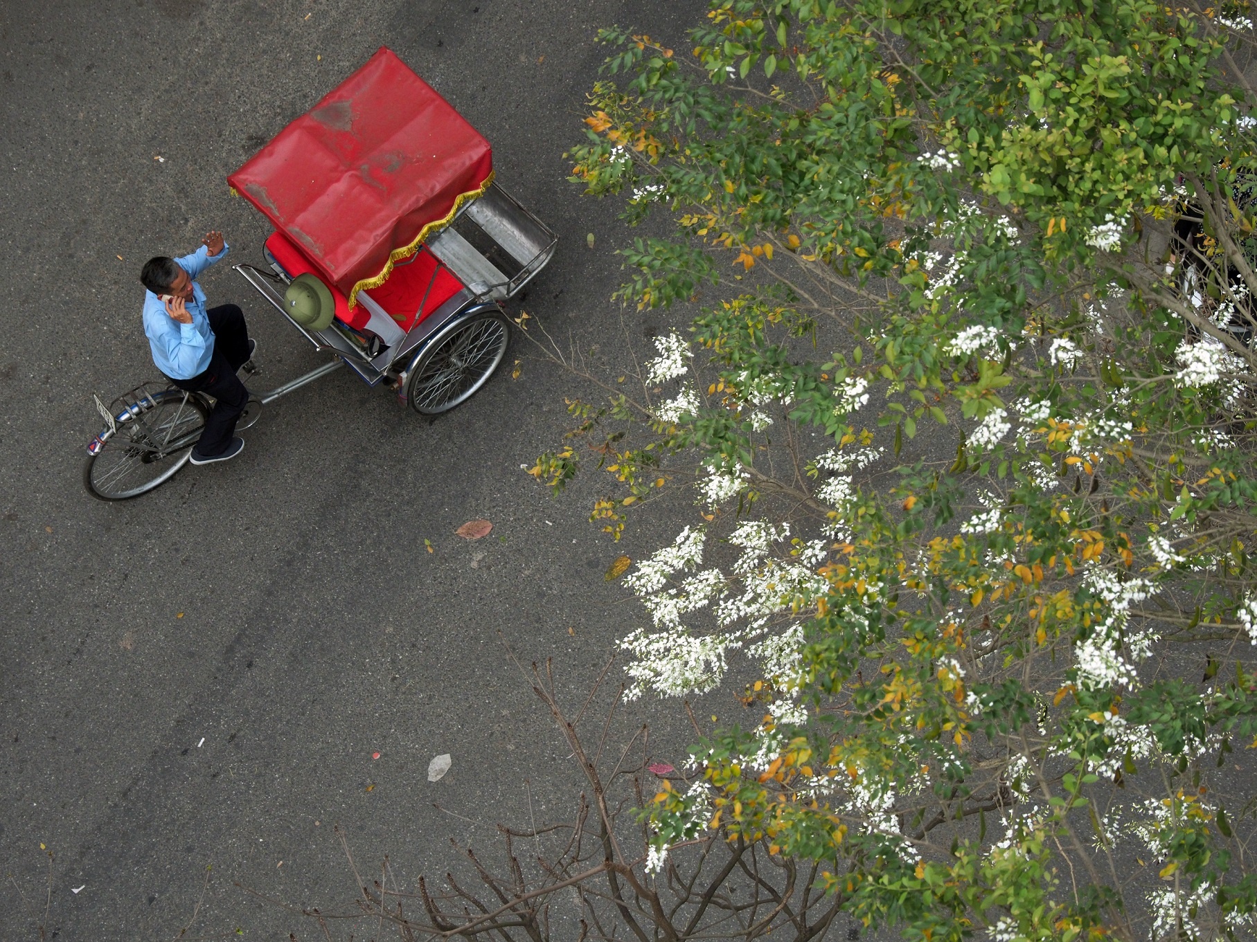 sua no trang troi Ha Noi anh 5