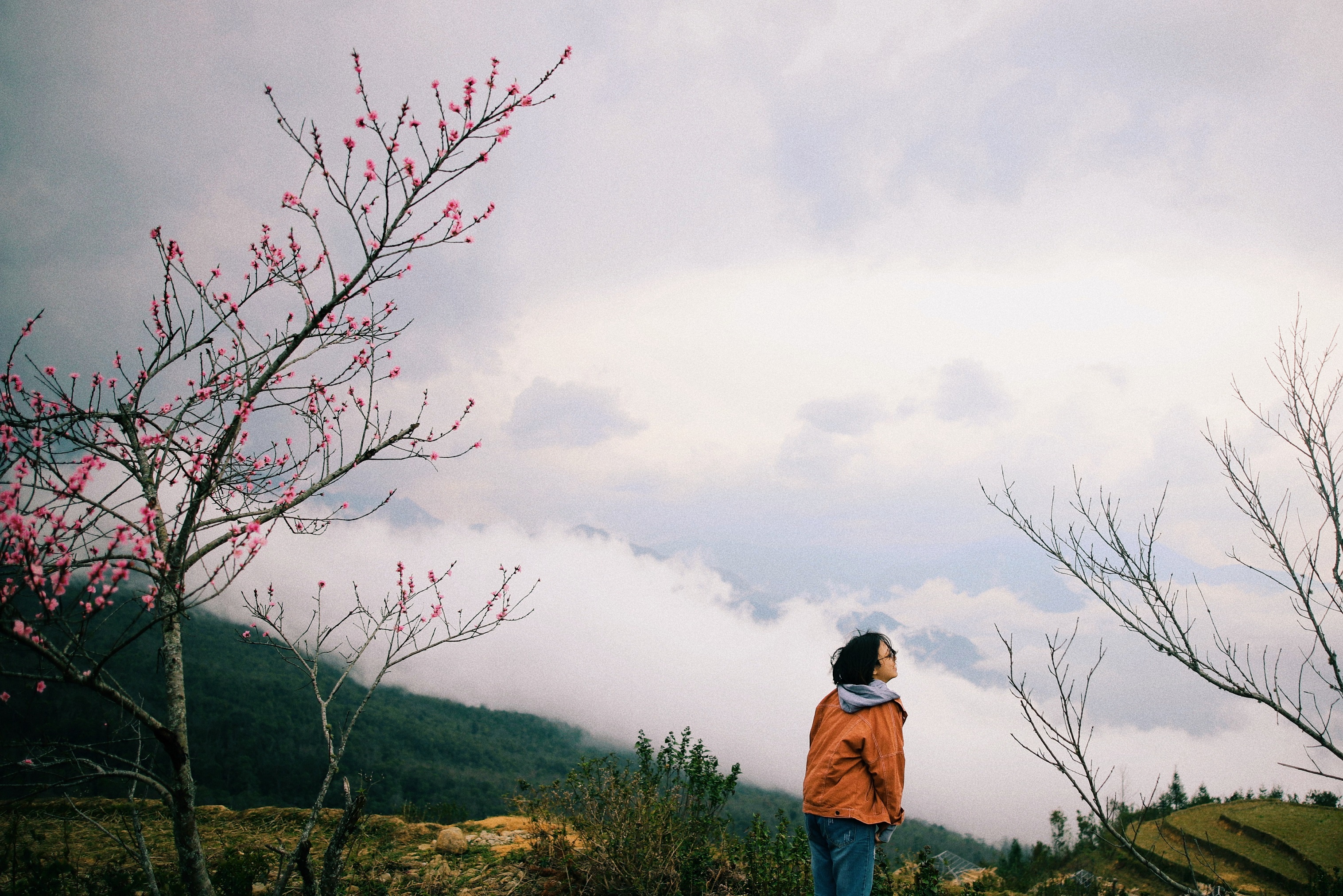 giam gia tour nhan ngay 8/3 anh 1