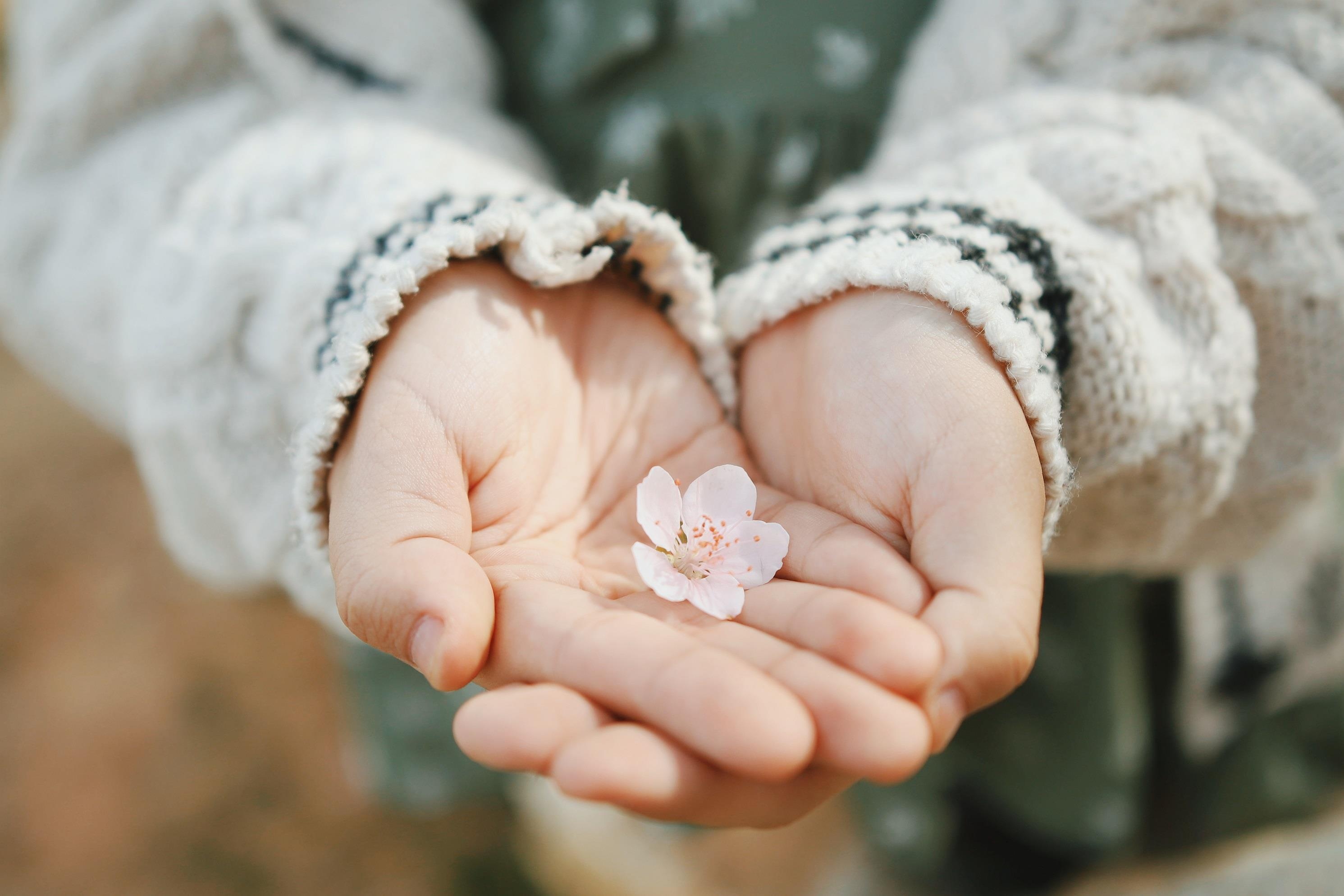 Ngam dao o Sa Pa anh 9