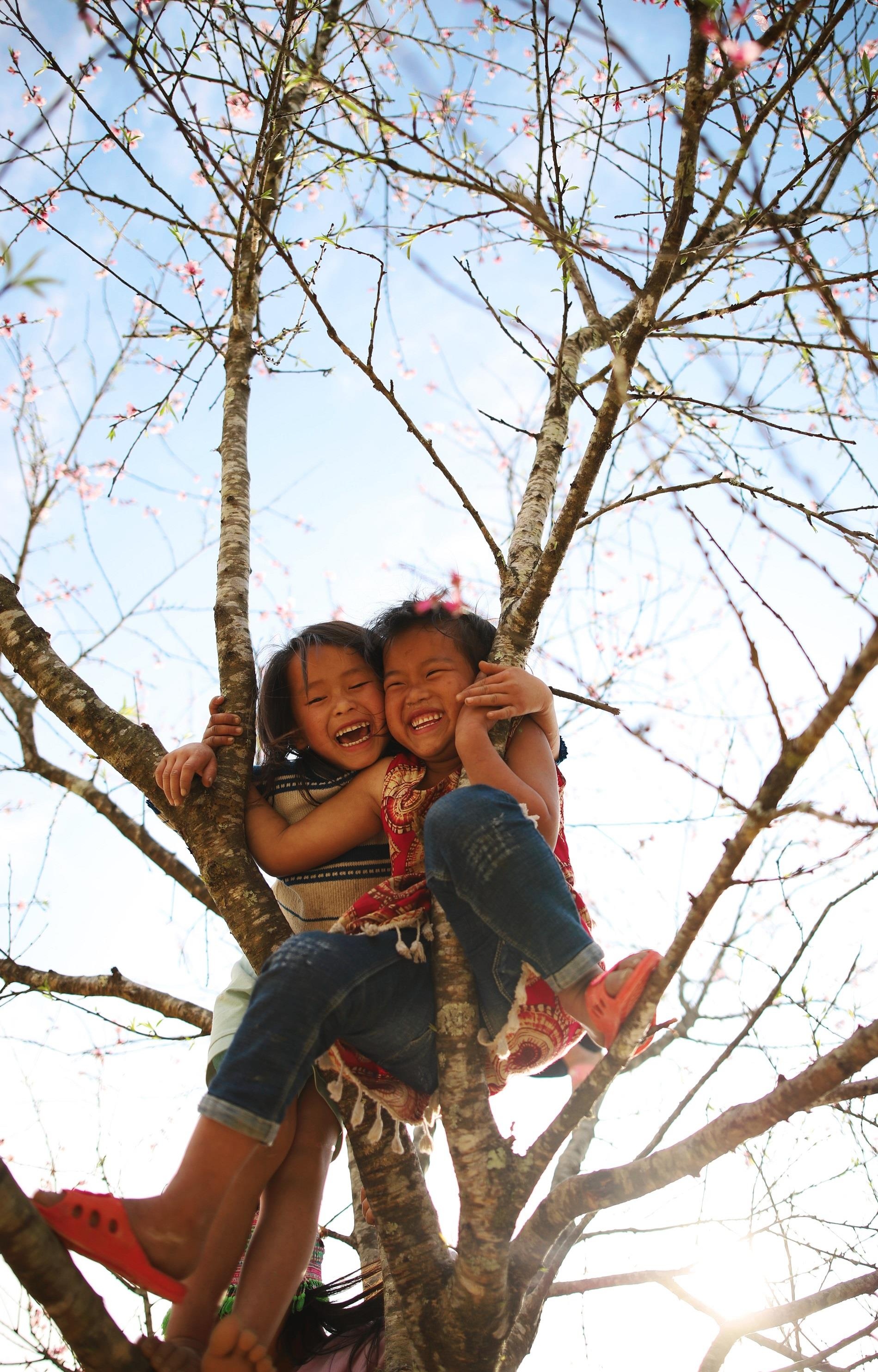 Ngam dao o Sa Pa anh 6