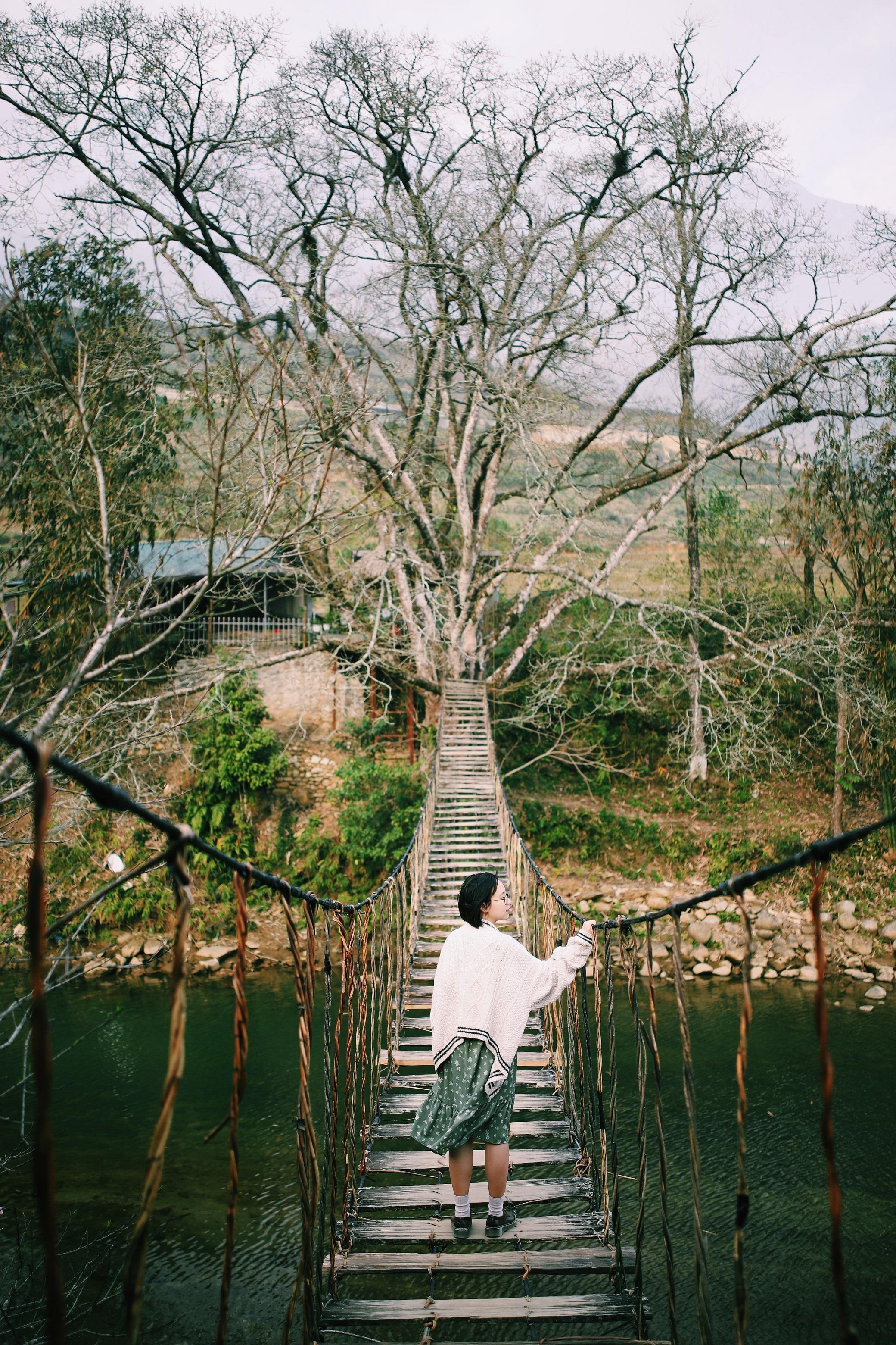 Ngam dao o Sa Pa anh 7