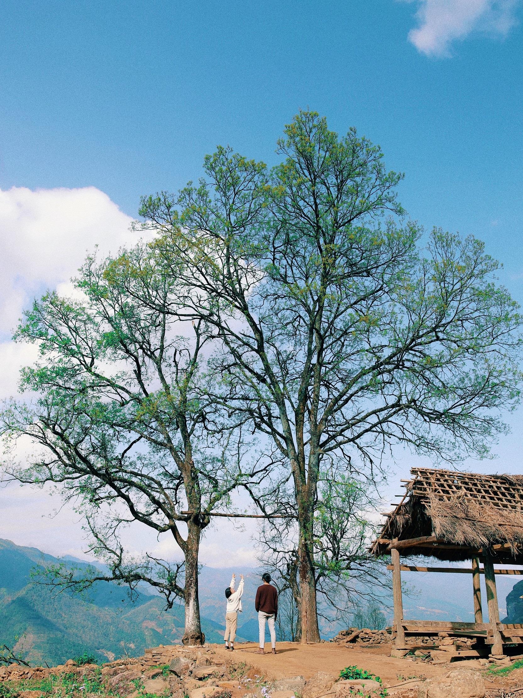 Ngam dao o Sa Pa anh 14