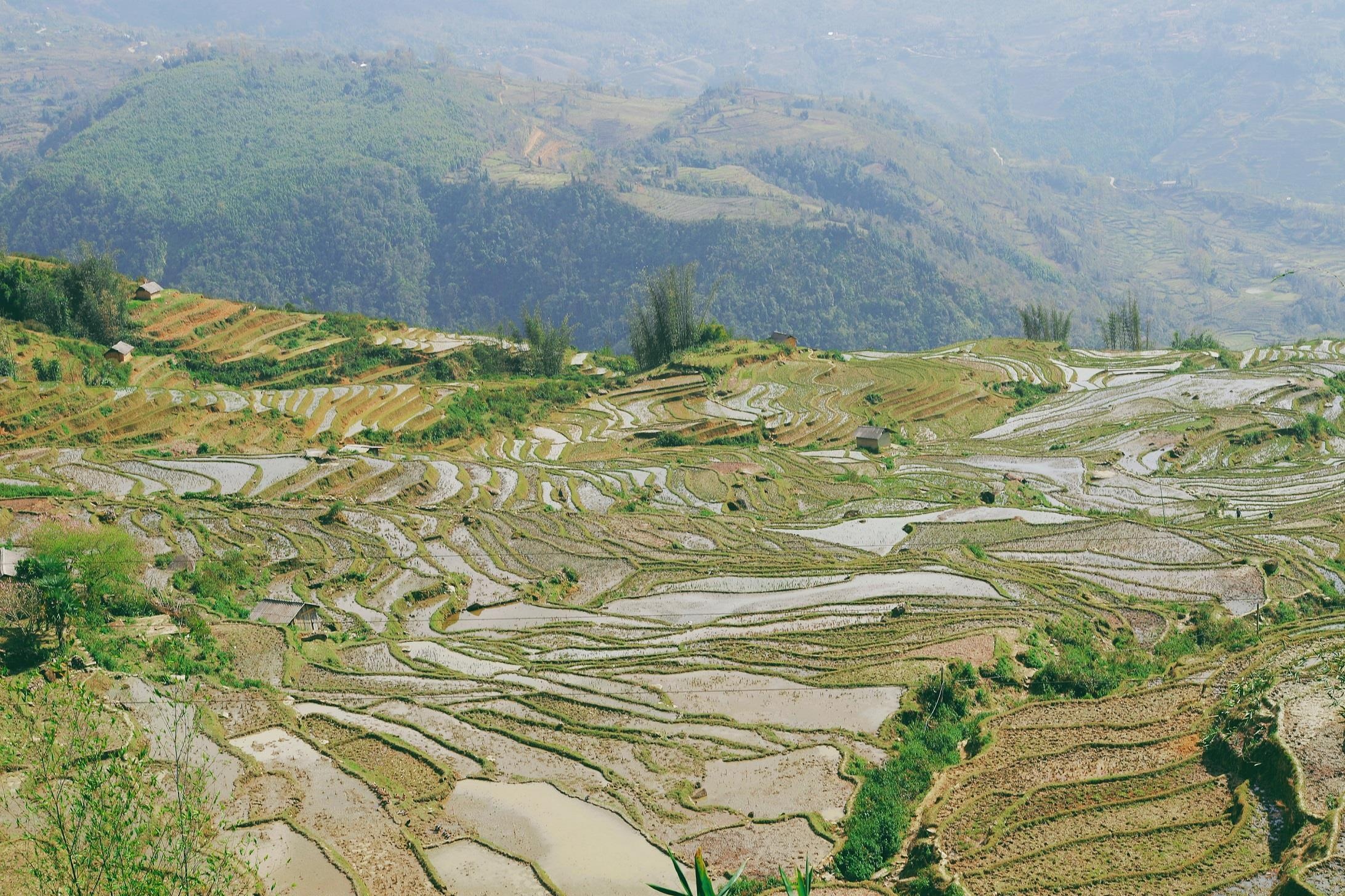 Ngam dao o Sa Pa anh 8