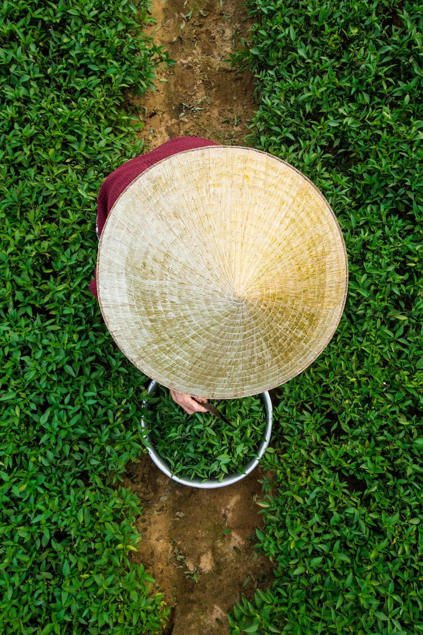 chi co mot ngay o Hoi An anh 2