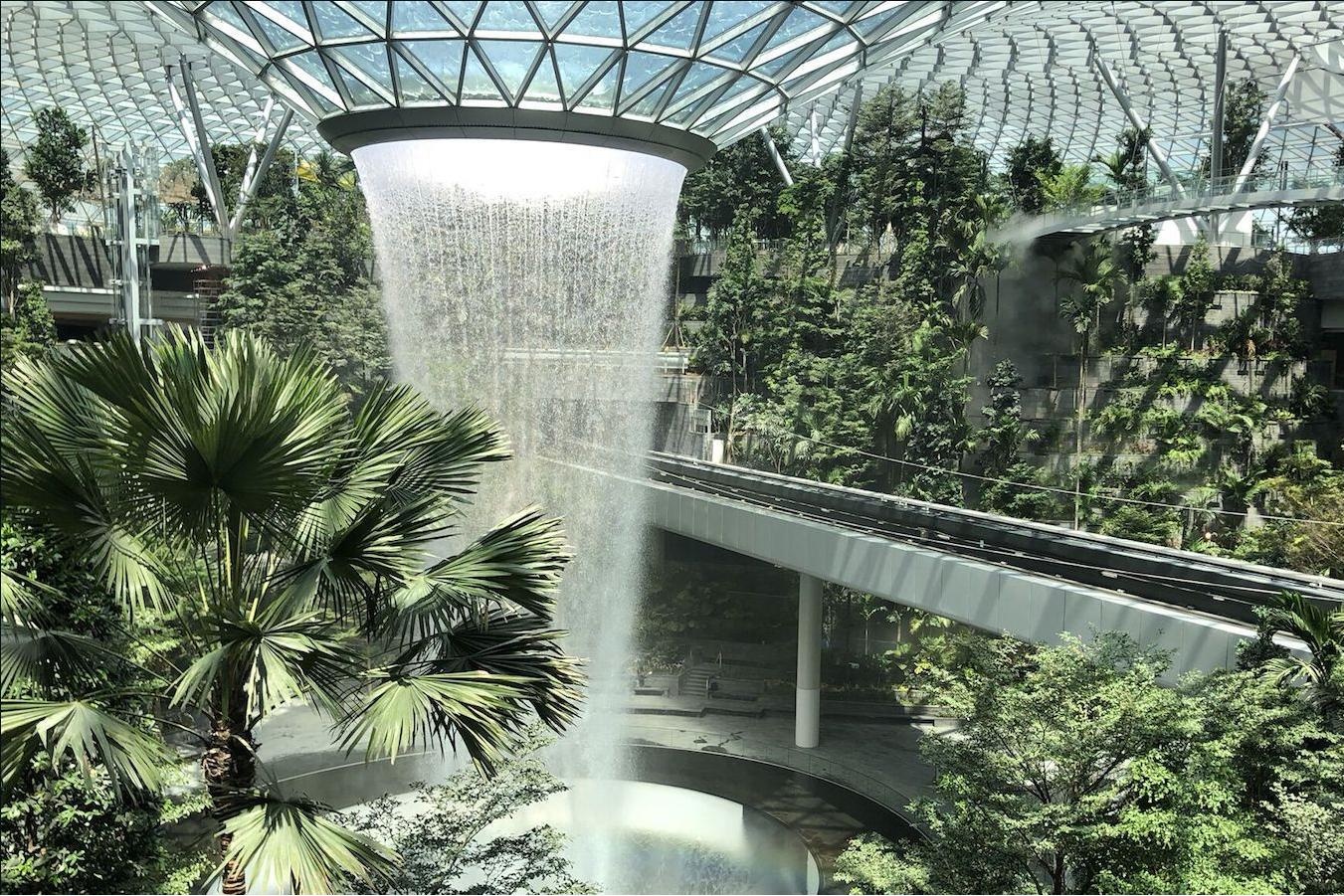 Chiem nguong 'khu rung' trong san bay Changi tri gia 1,27 ty USD hinh anh