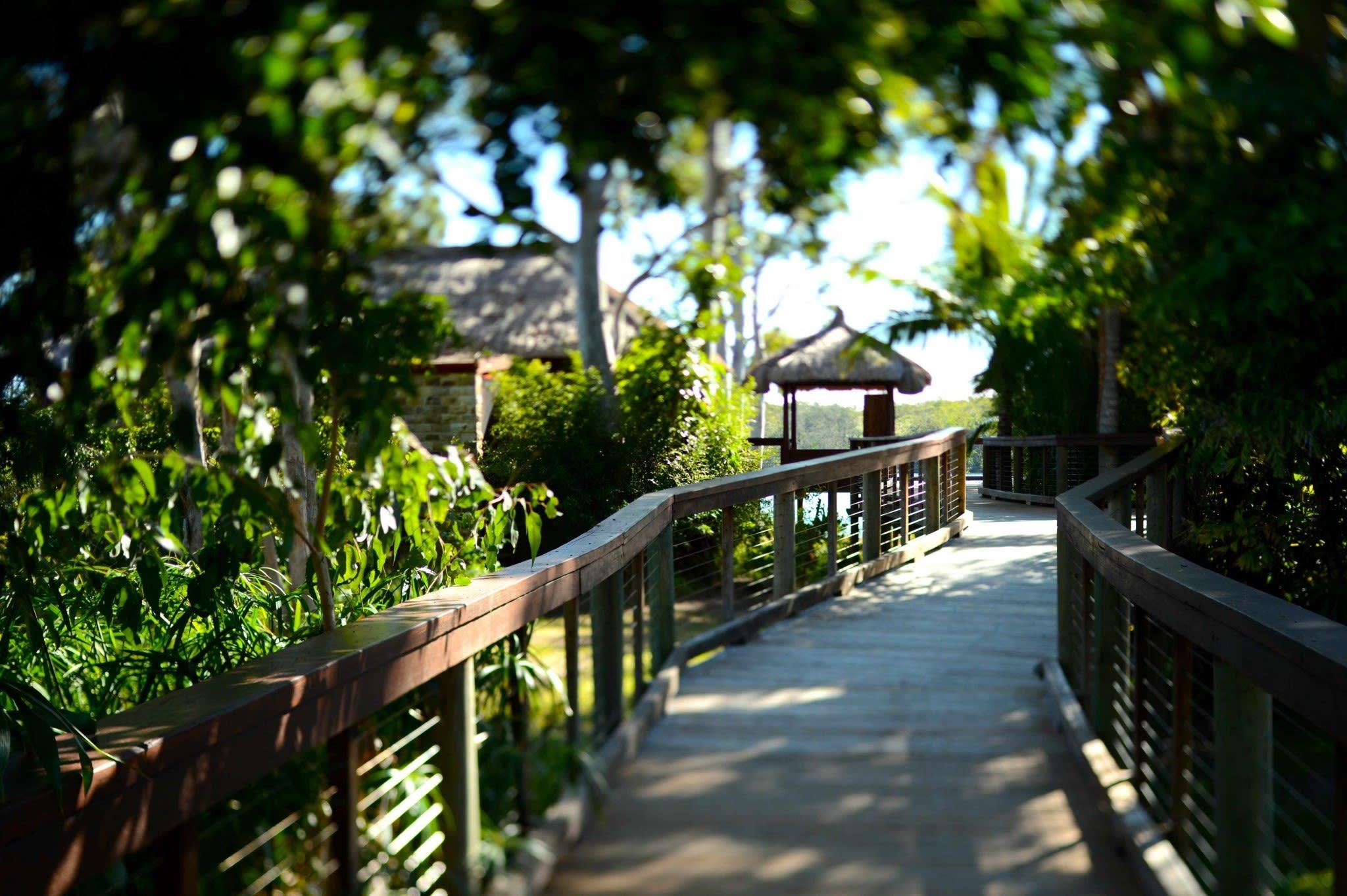 dao hinh trai tim anh 4