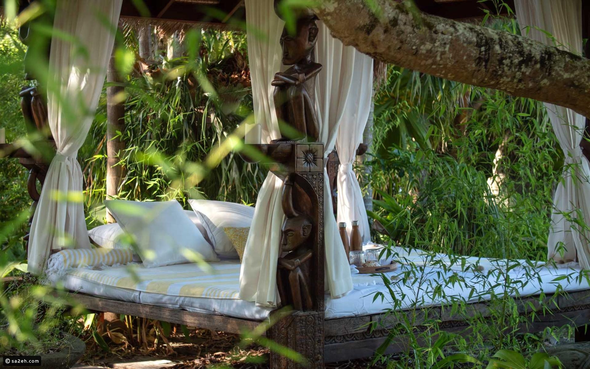 dao hinh trai tim anh 6