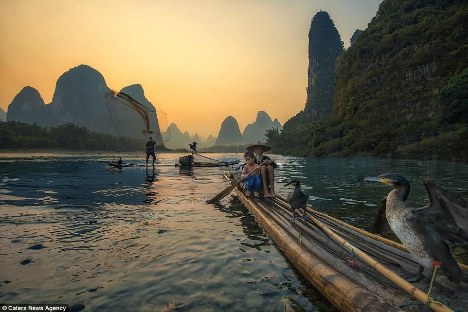 Nghe bat ca bang chim coc anh 6