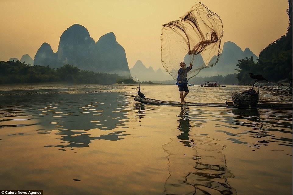 Nghe bat ca bang chim coc anh 7