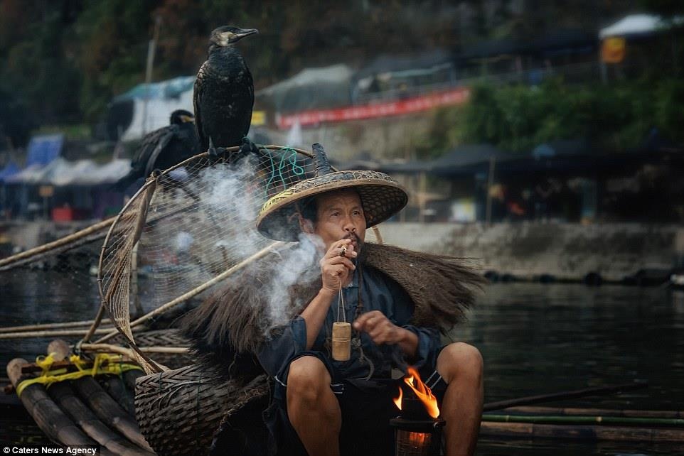 Nghe bat ca bang chim coc anh 11