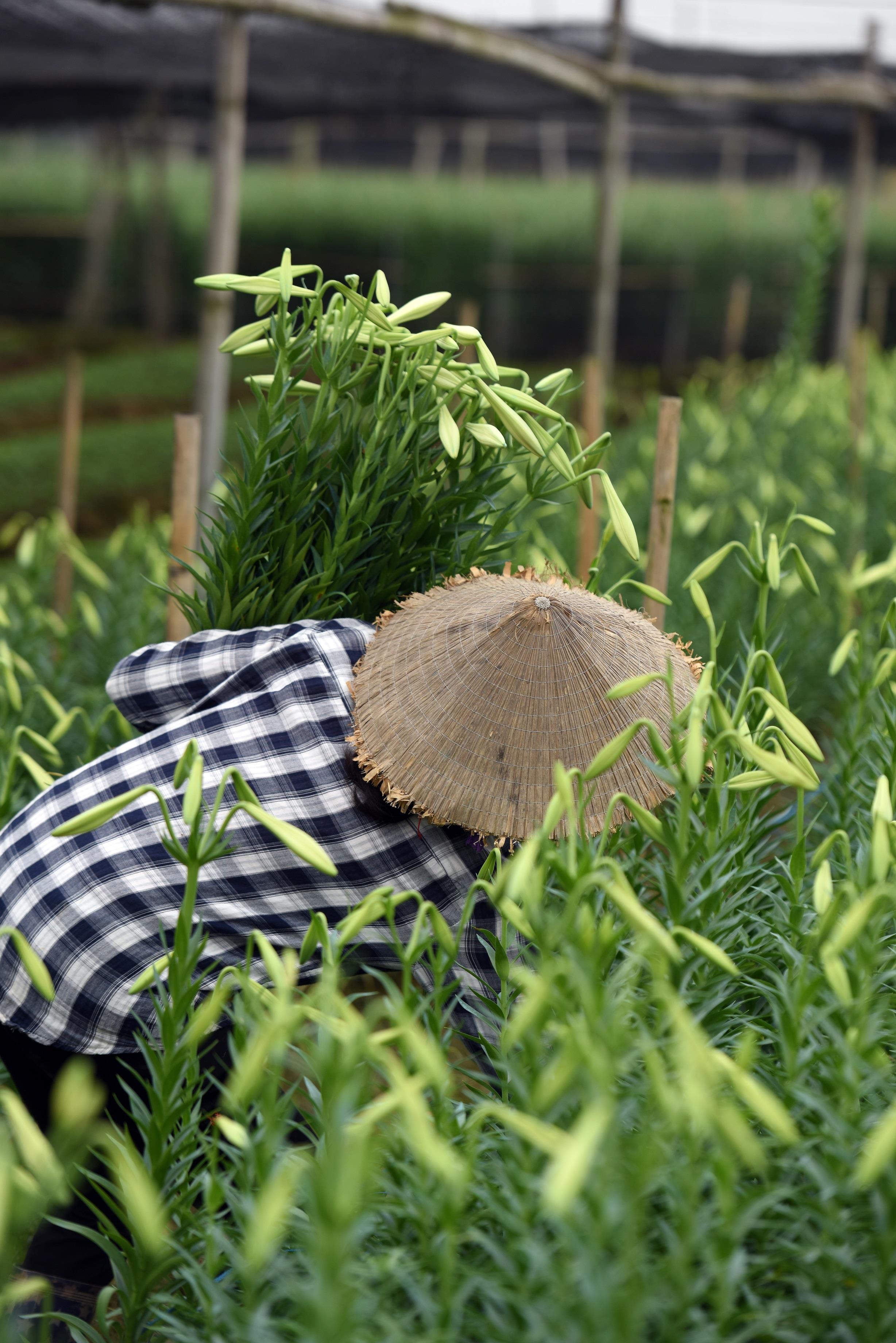 Loa ken trang tinh khoi anh 33