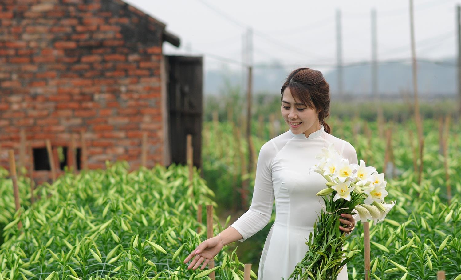 Loa ken trang tinh khoi anh 38