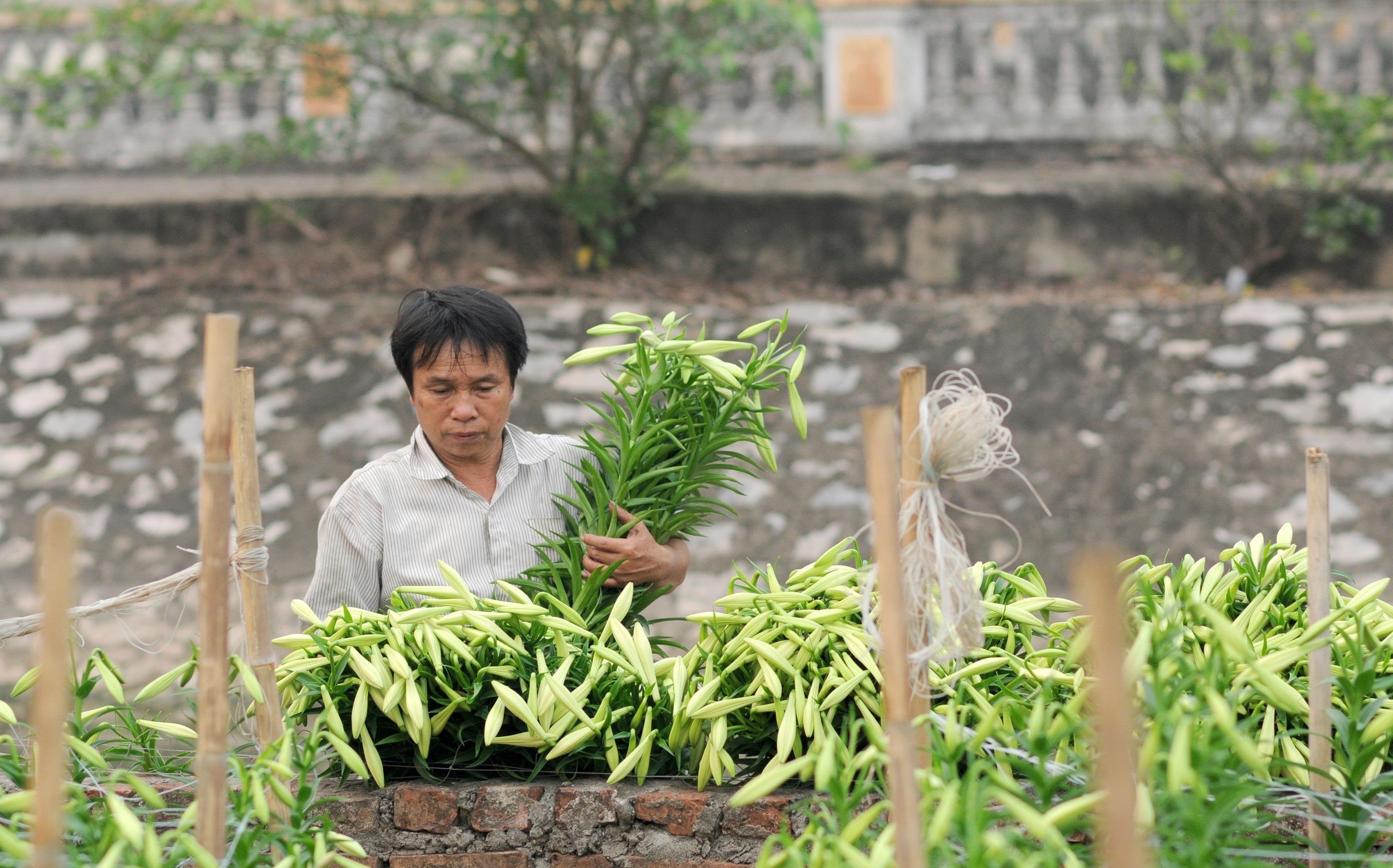 Loa ken trang tinh khoi anh 34