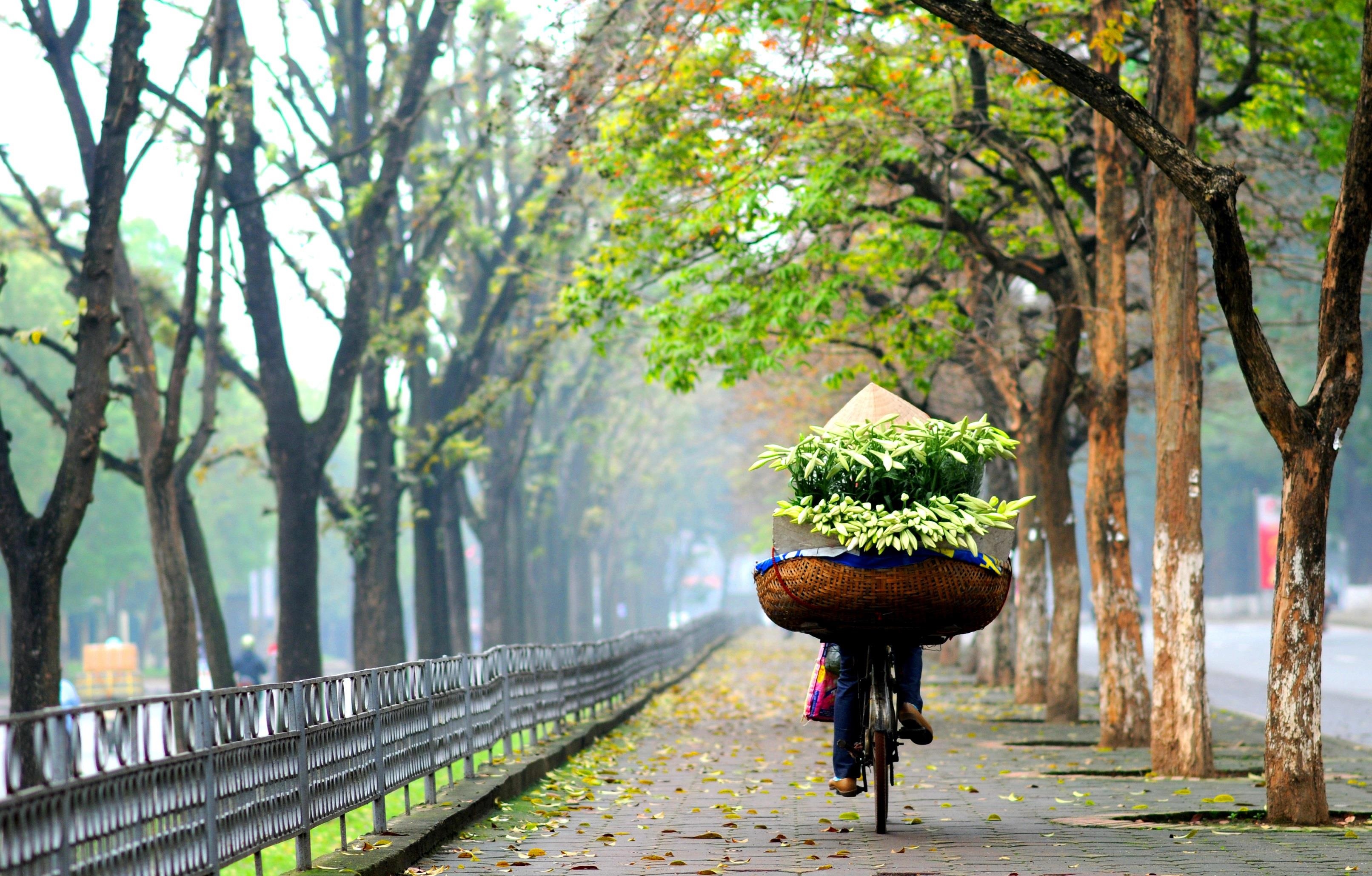 Loa ken trang tinh khoi anh 8