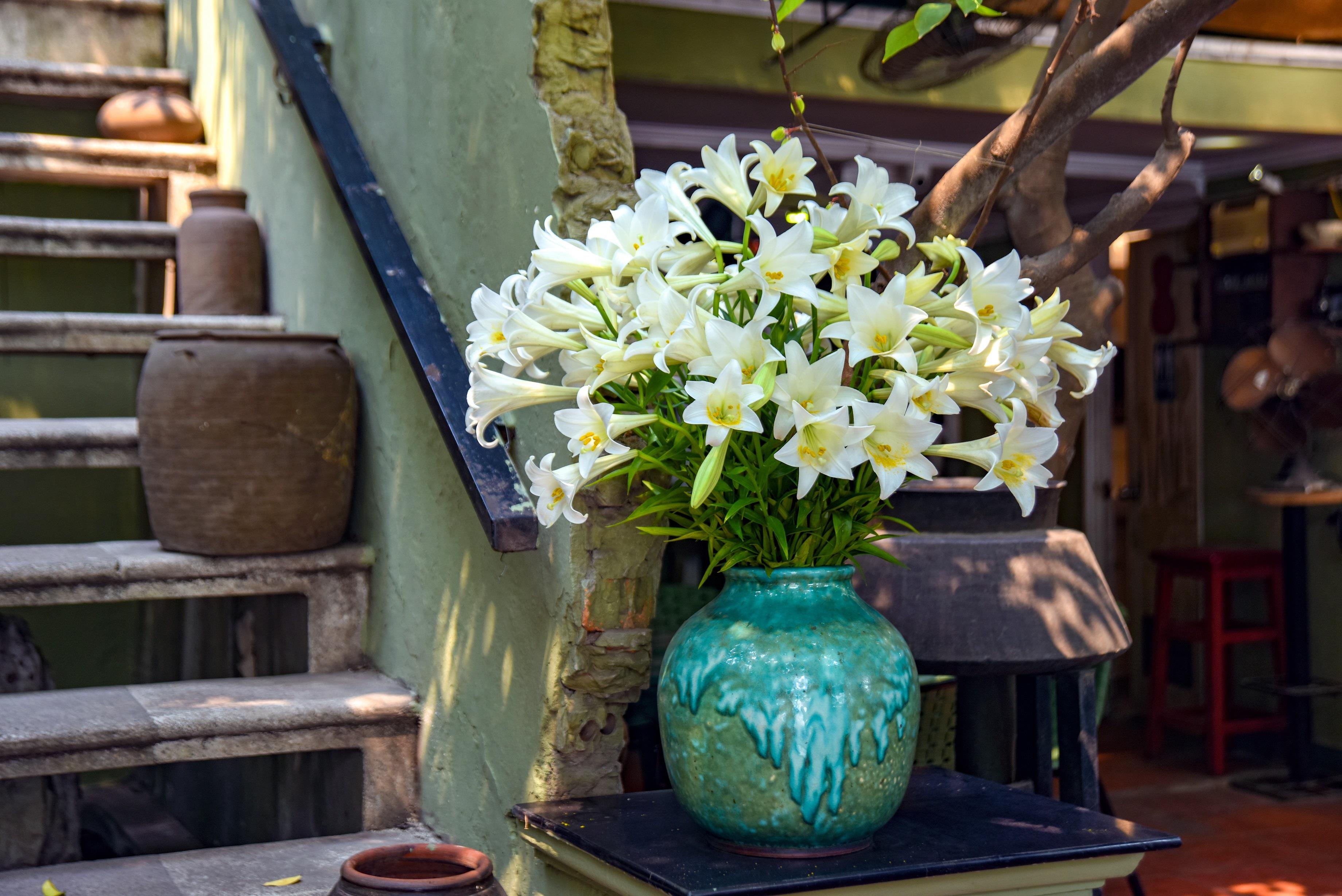 Loa ken trang tinh khoi anh 30