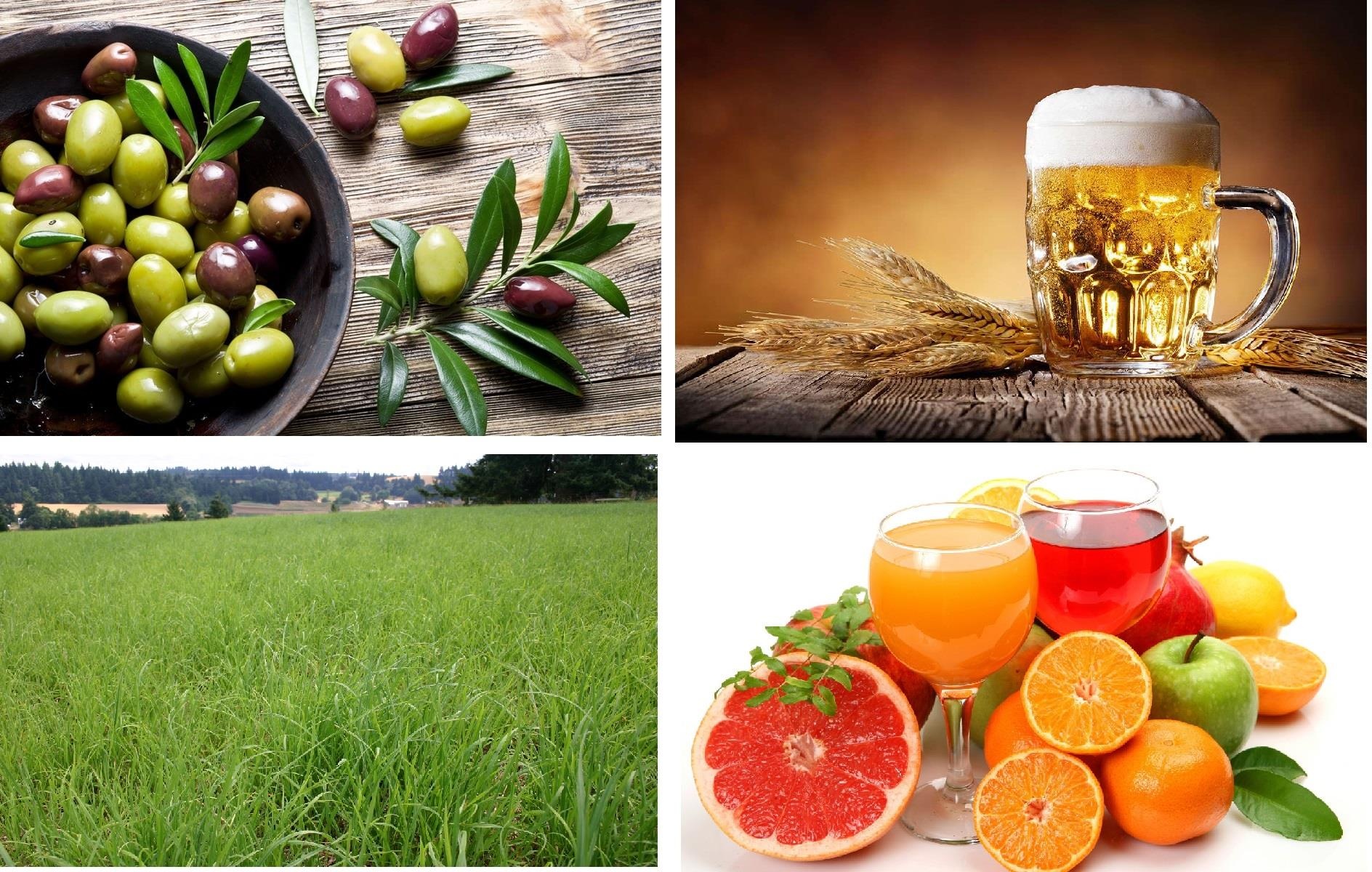 Có bao nhiêu con bò Kobe ảnh 4 Co bao nhieu con bo Kobe anh 4