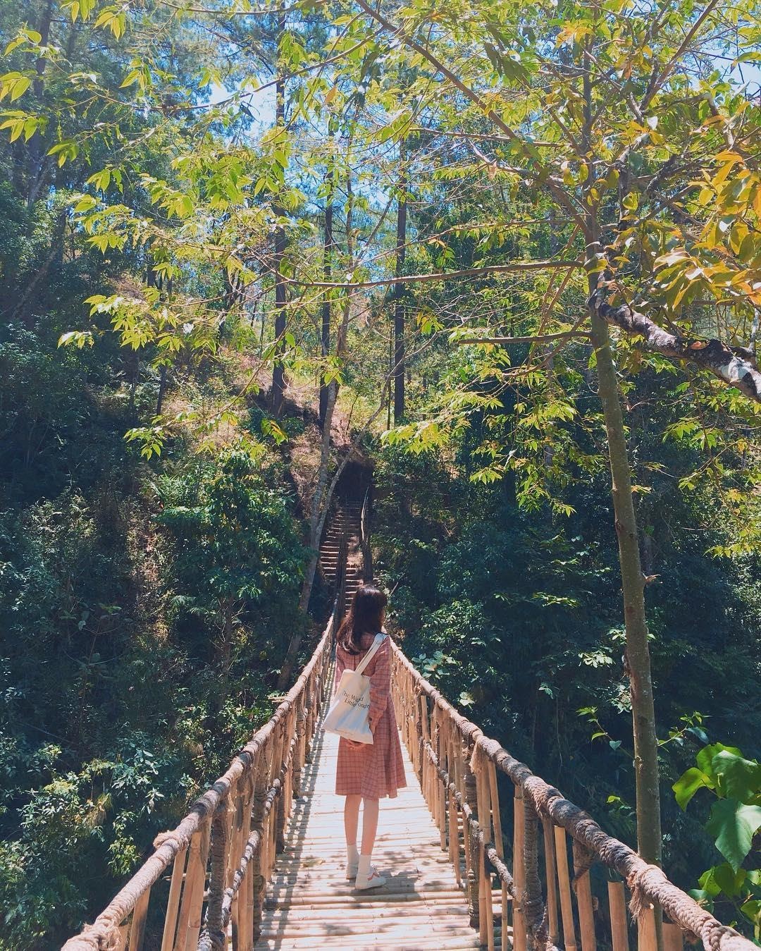 diem den khong the bo qua o Da Lat anh 19