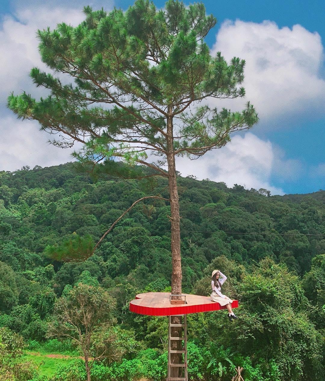 diem den khong the bo qua o Da Lat anh 23