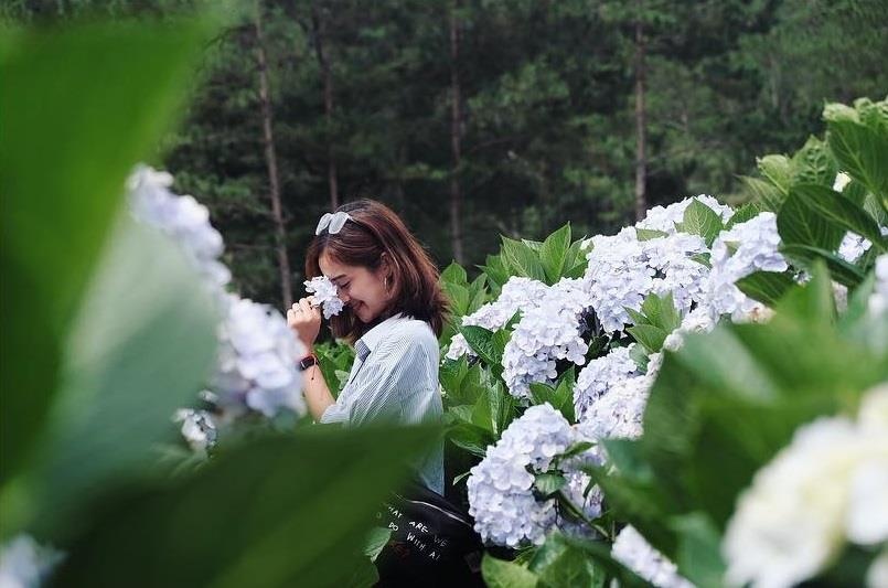 diem den khong the bo qua o Da Lat anh 18